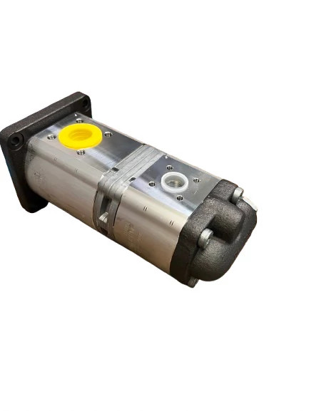 HYDRAULIC PUMP | CASECE | US | EN