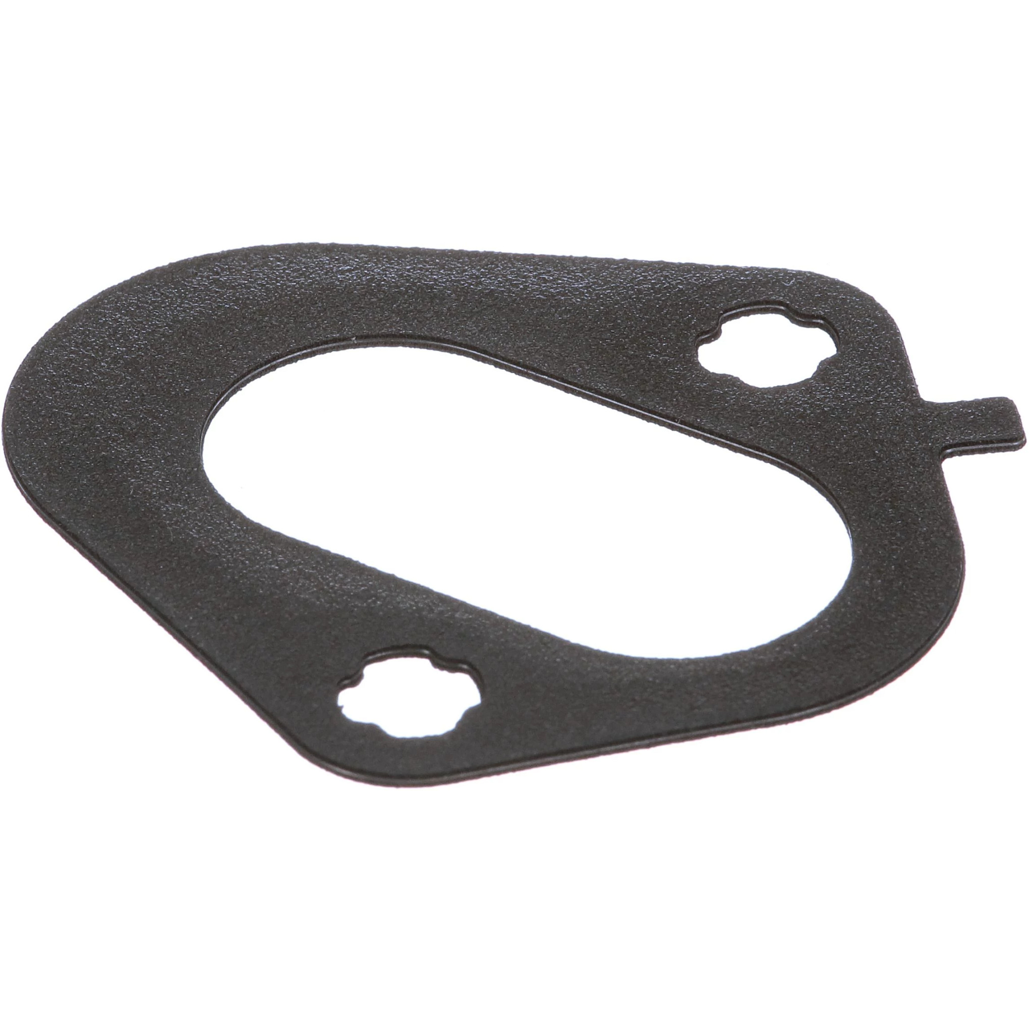 GASKET | CASECE | EU | EN