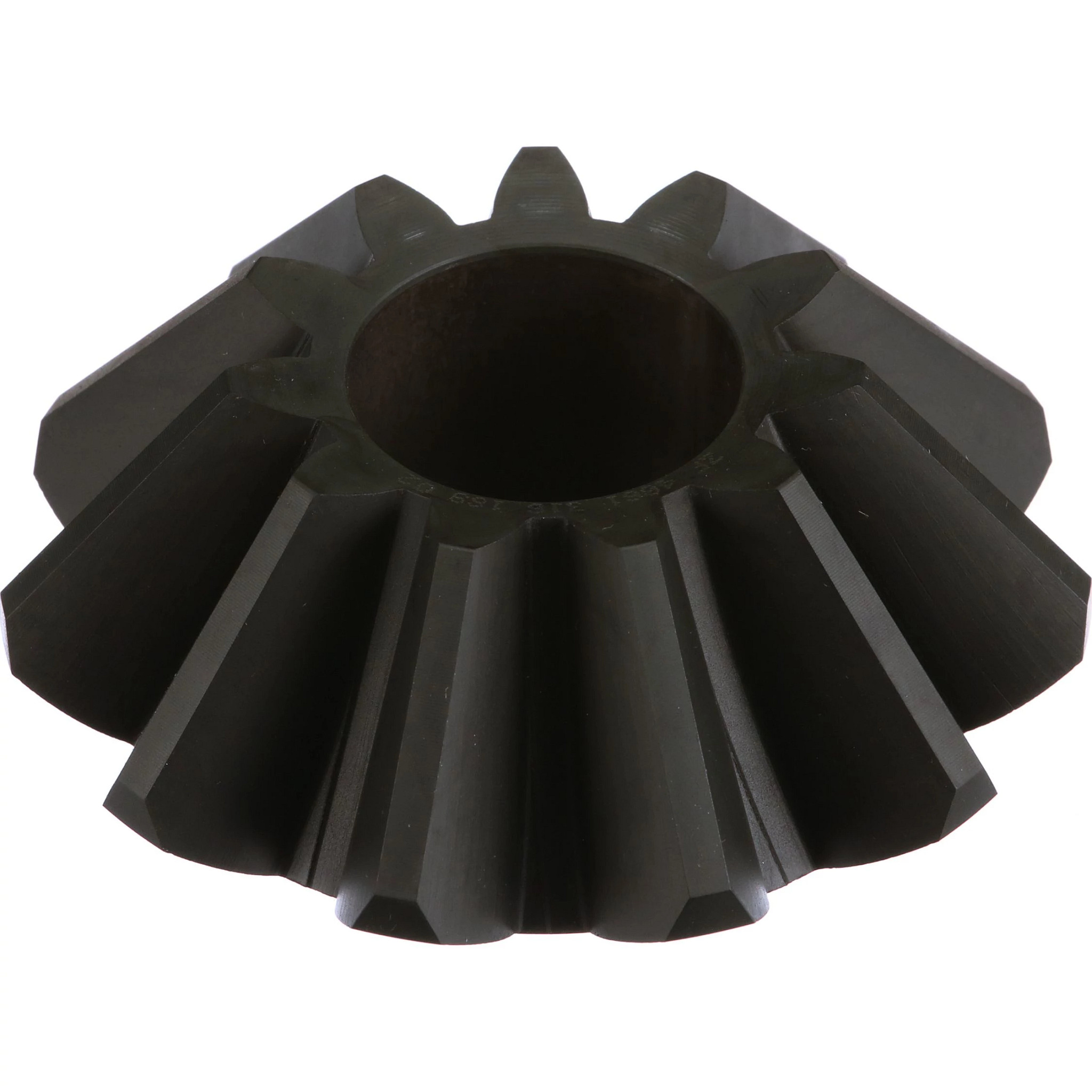 PIGNON CONIQUE | NEWHOLLANDCE | CA | FR