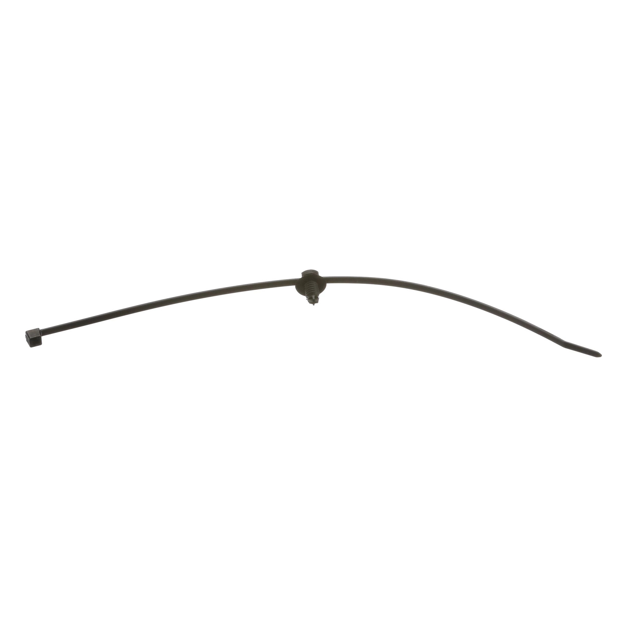 SECURING STRAP | CASECE | EU | PT