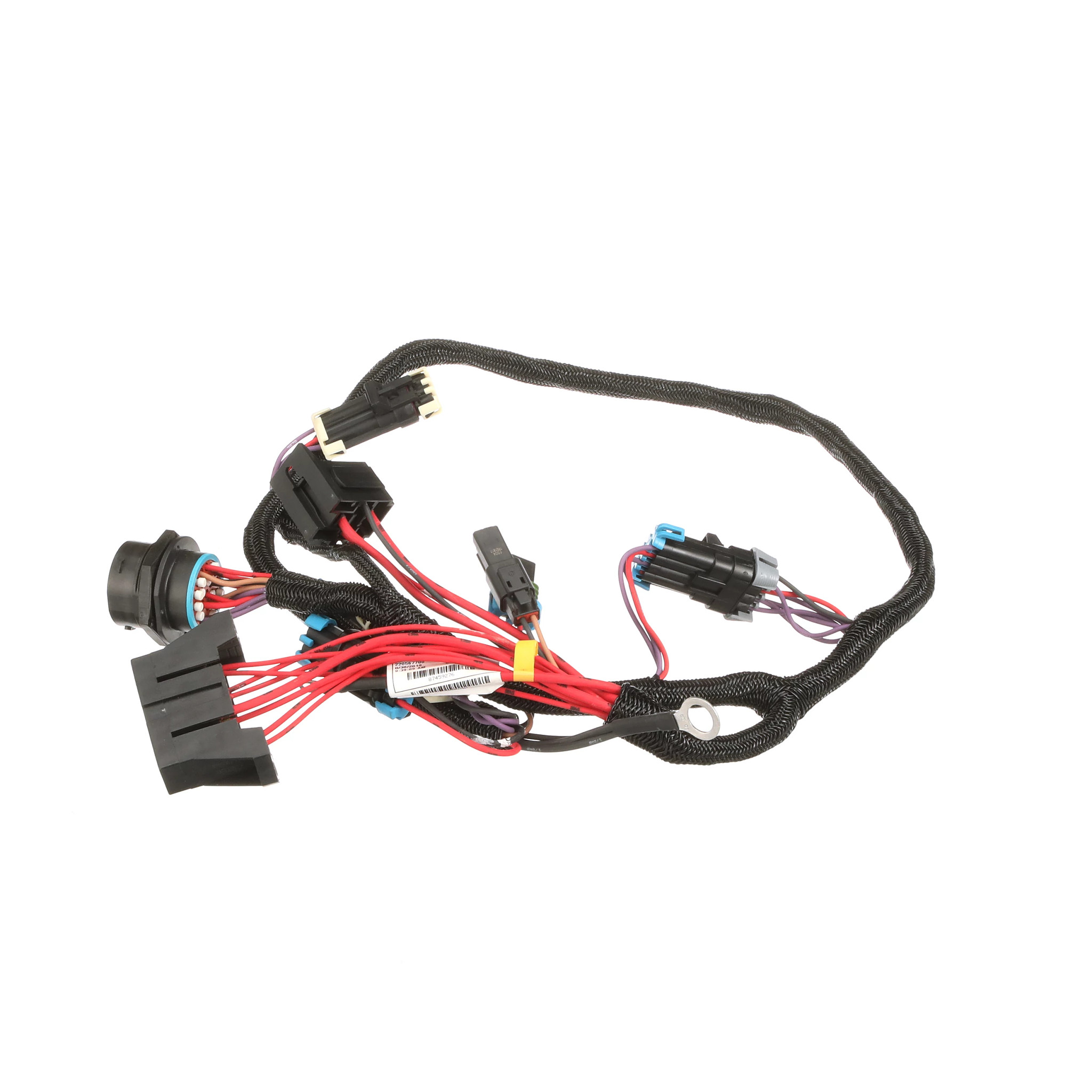 CHICOTE | CASECE | BR | PT