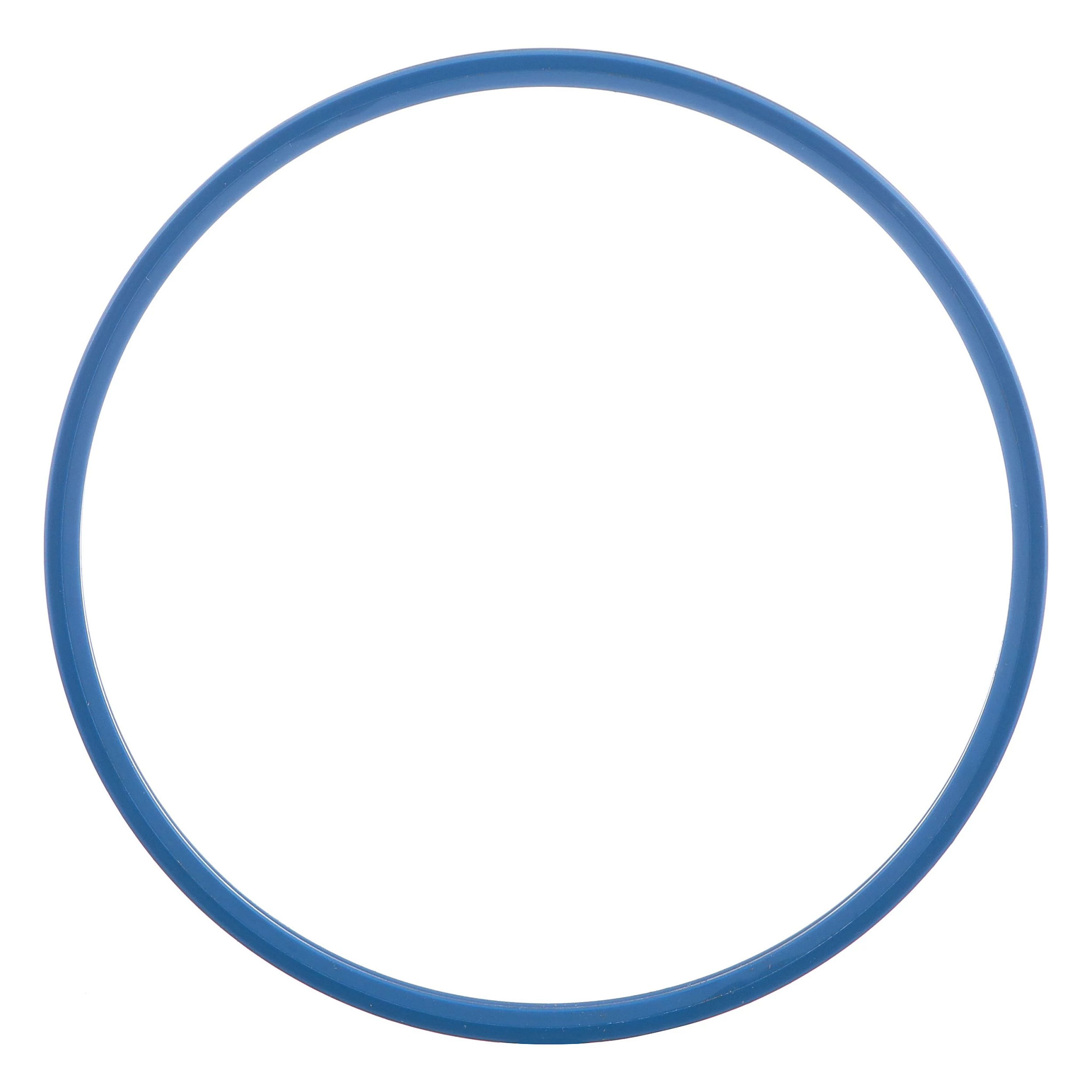 SEALING RING | CASECE | CA | EN