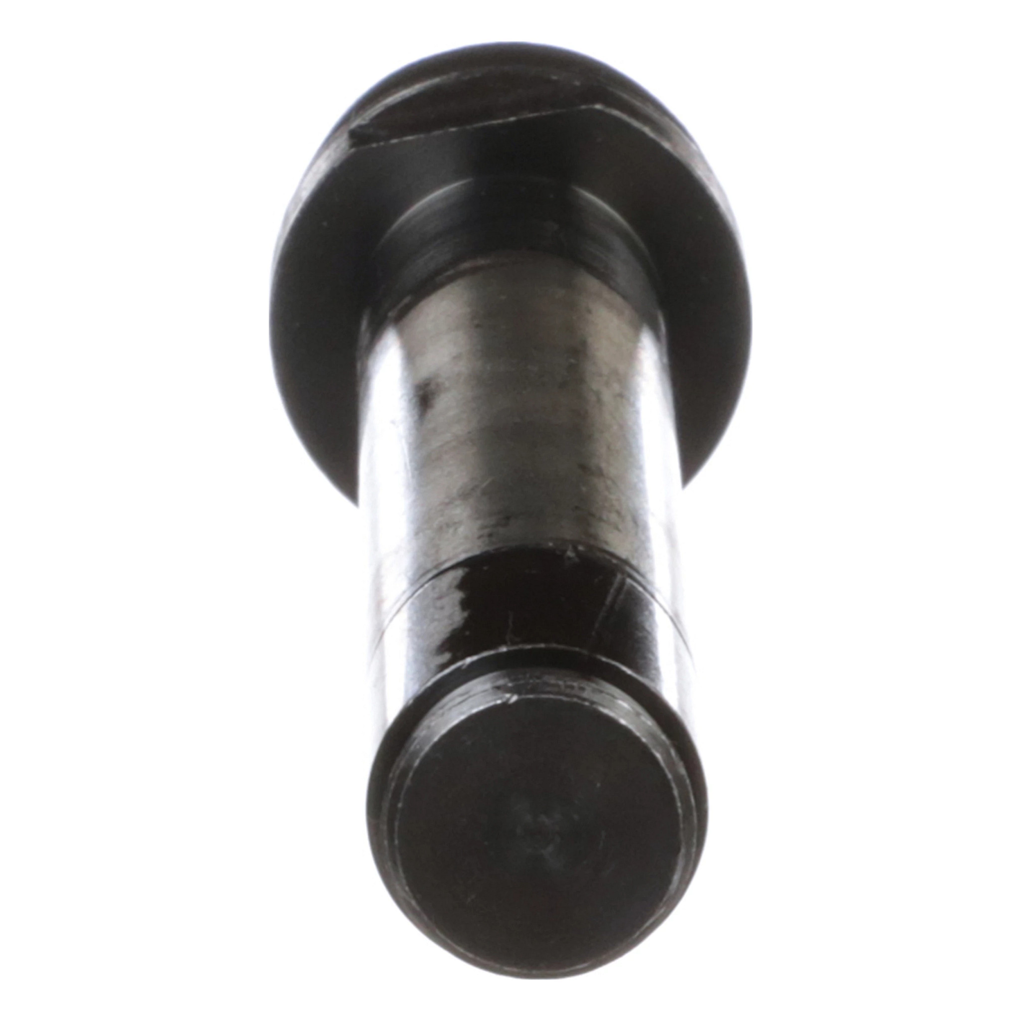 PLUNGER | CASECE | AMEA | EN