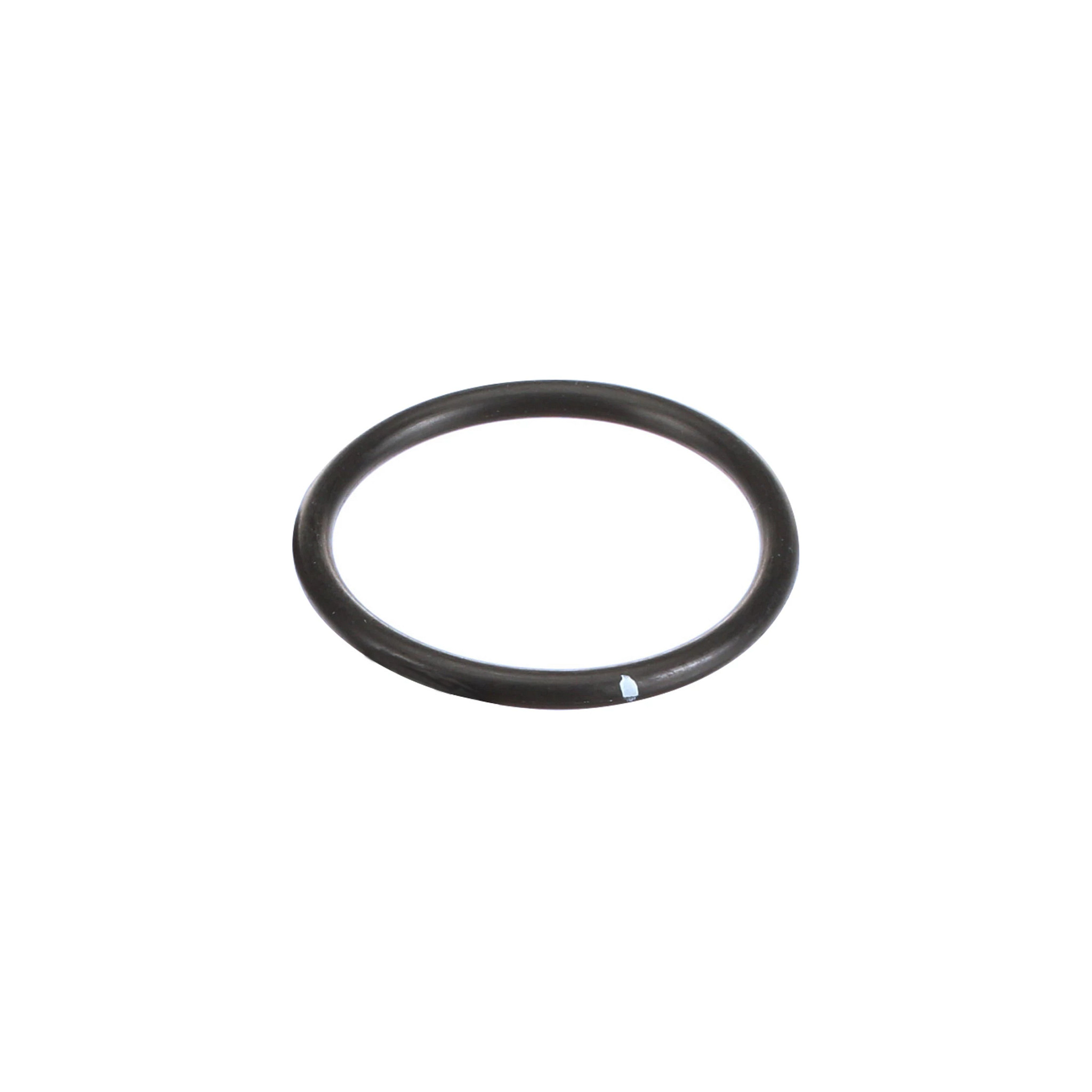 JOINT TORIQUE | CASEIH | EU | IT