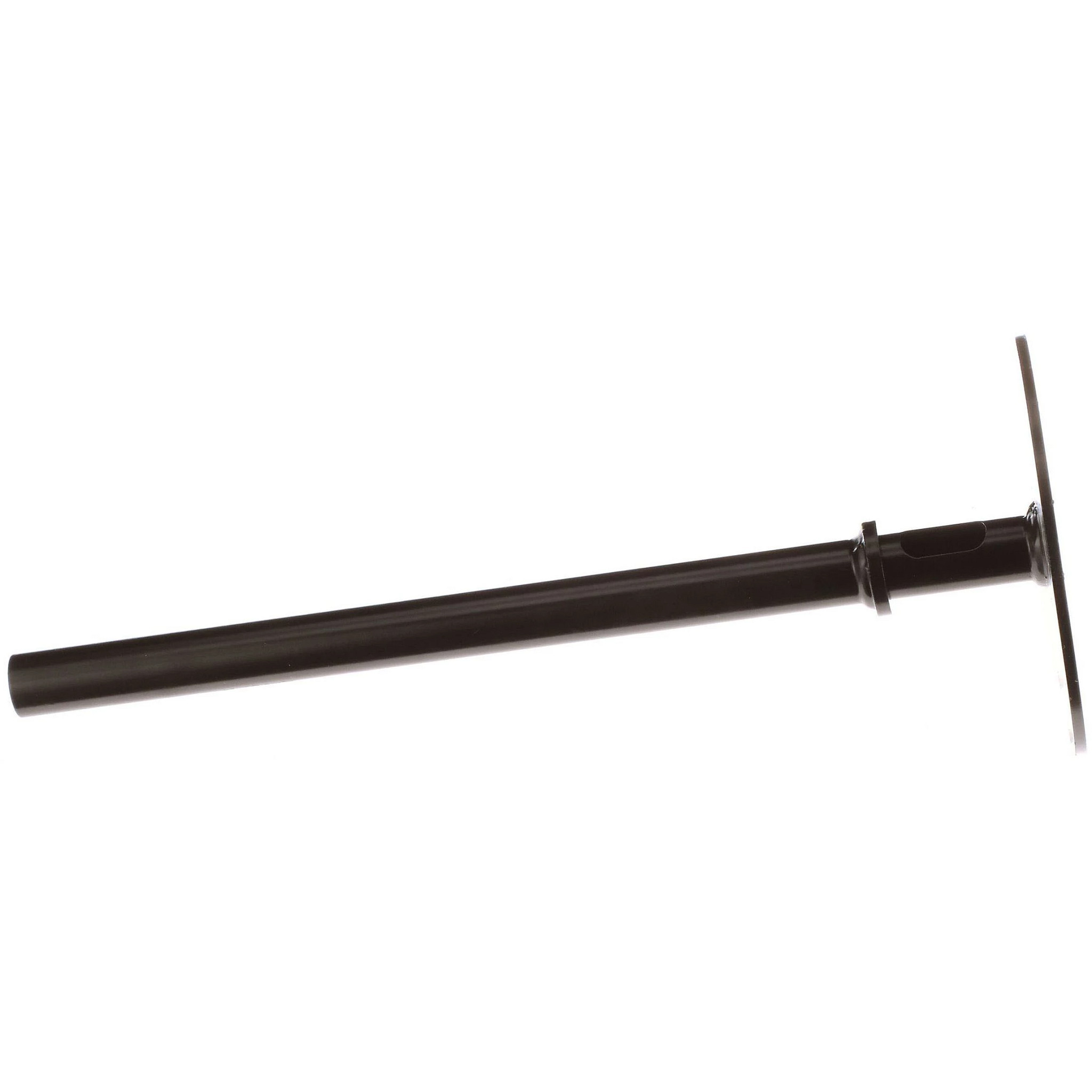 SUPORTE | CASECE | EU | PT