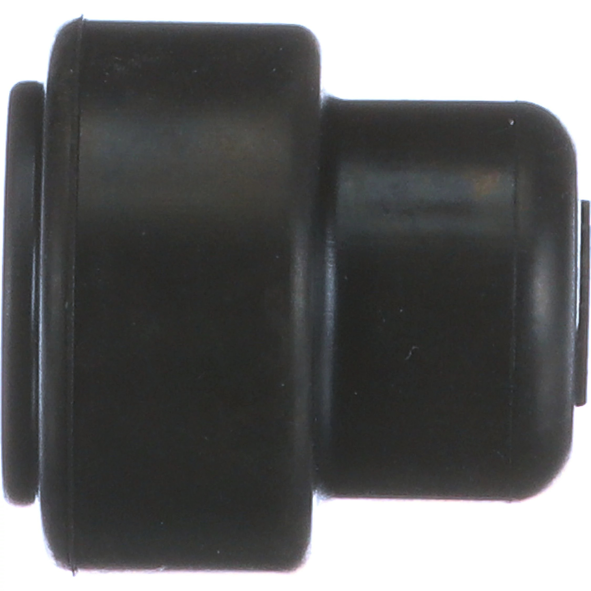 CAP | CASECE | EU | EN