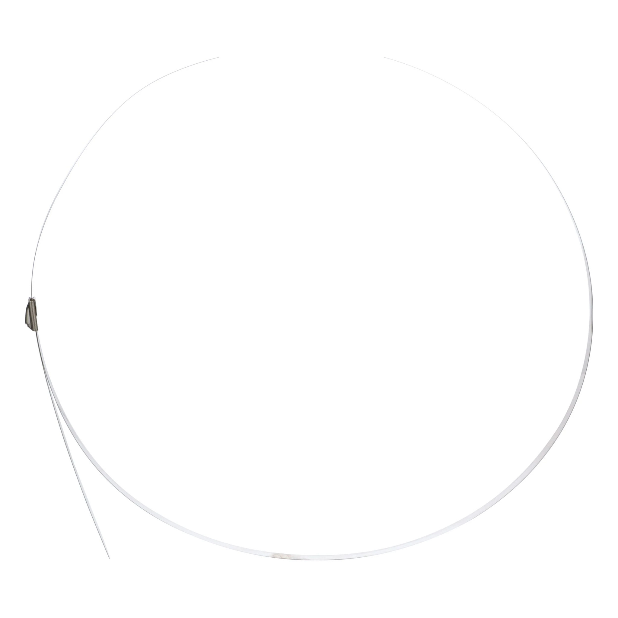 BRIDE | CASEIH | AMEA | EN