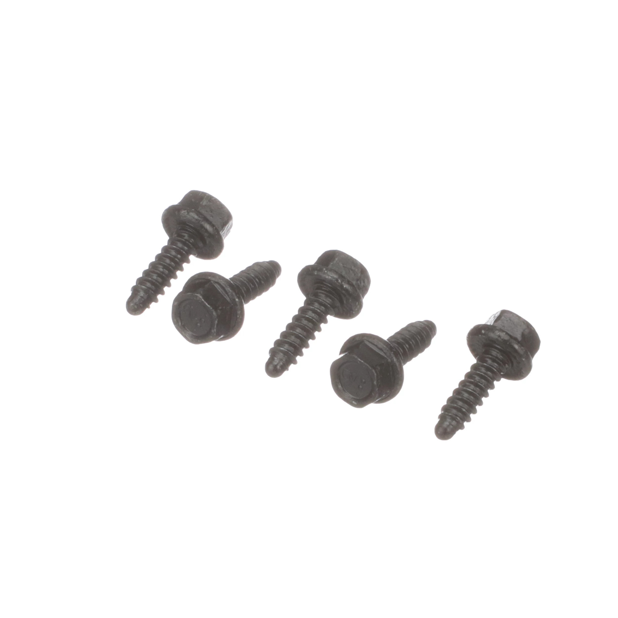 PARAFUSO | CASECE | EU | PT