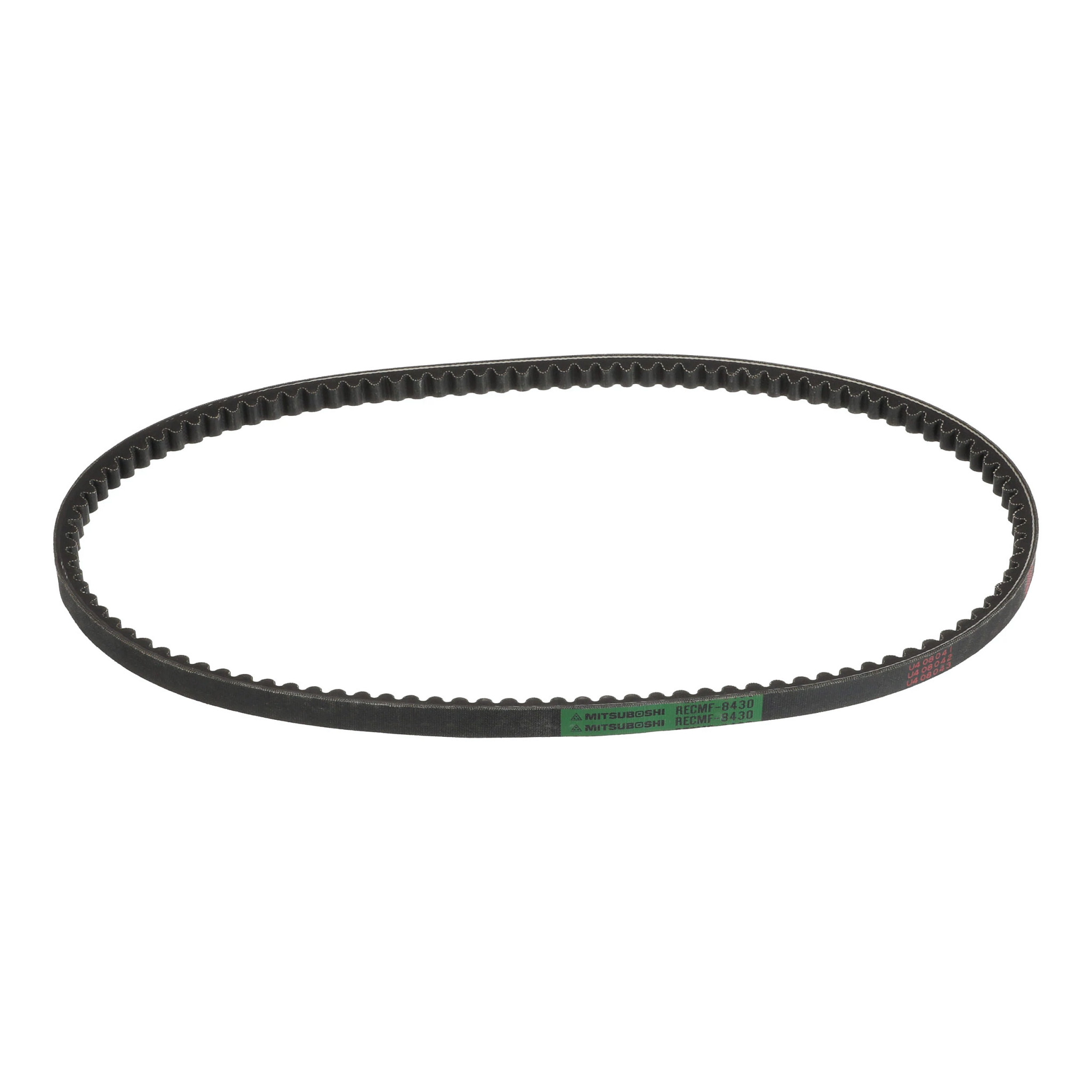 BELT | CASECE | US | EN