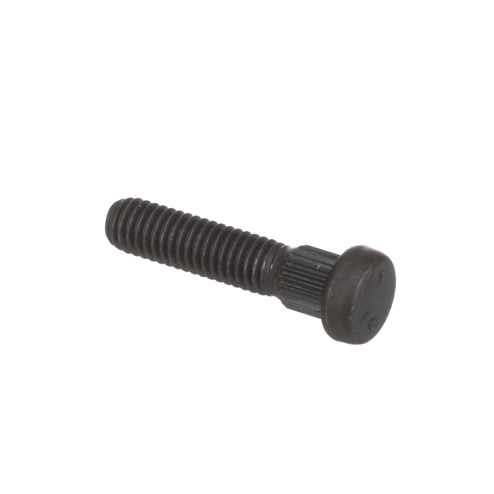 Bolt | CASECE | BR | PT