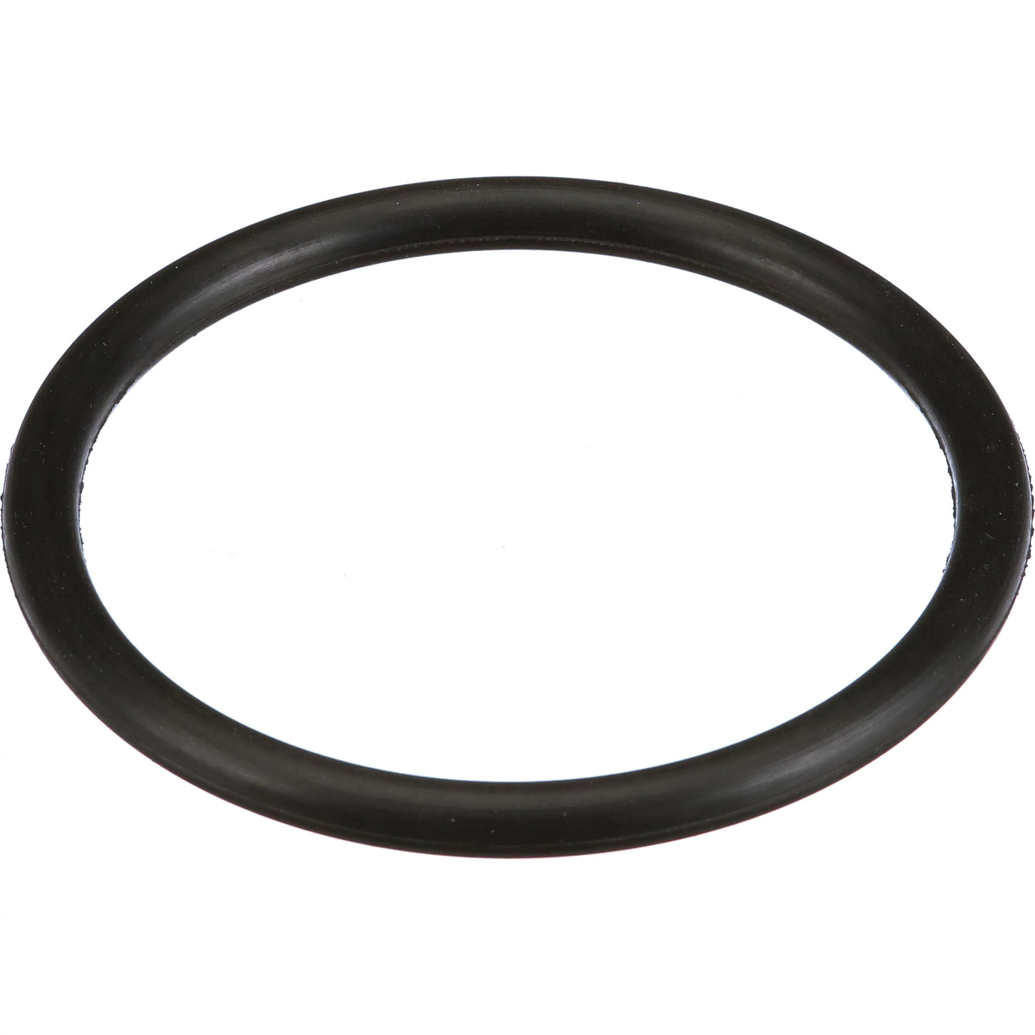 O-ring | CASECE | US | EN
