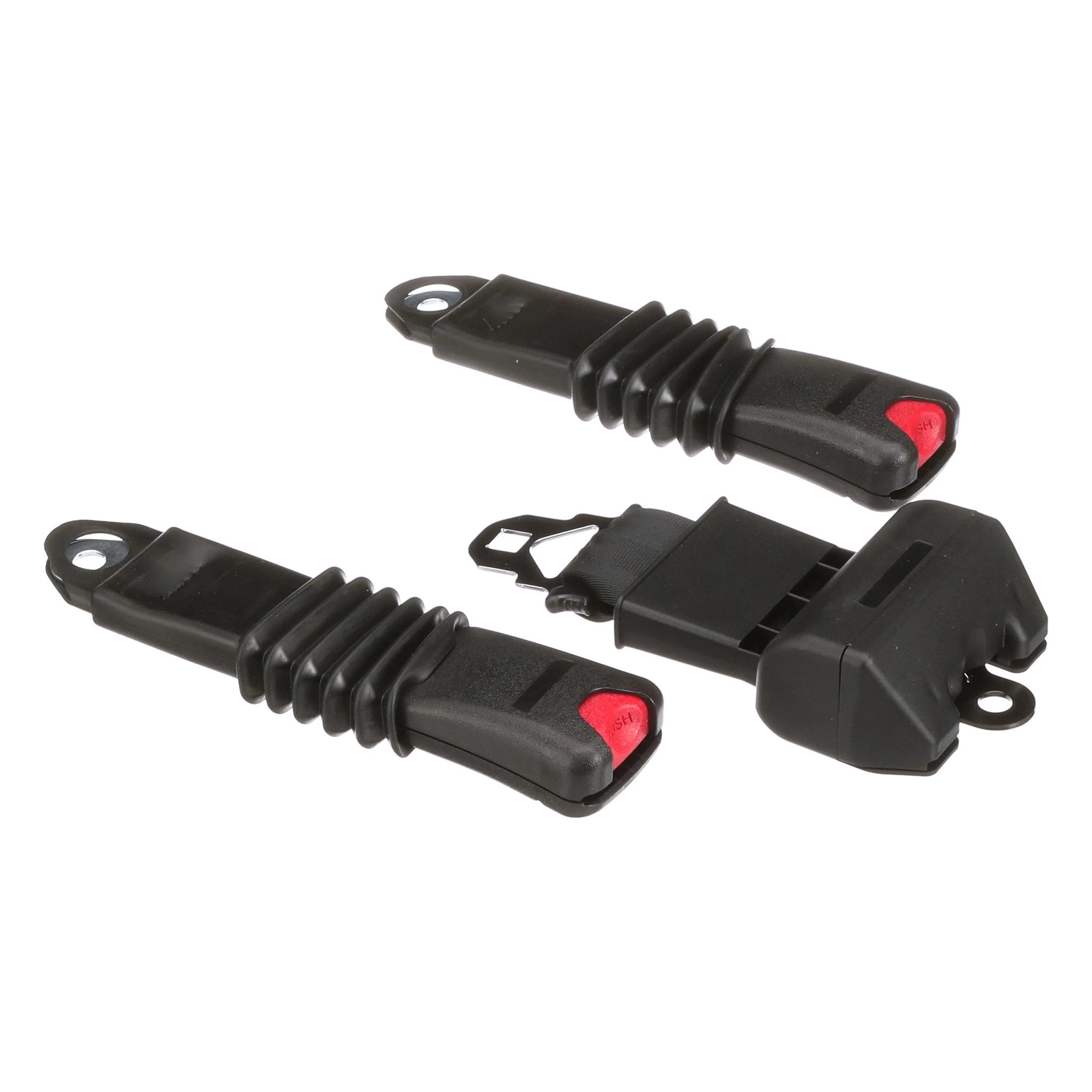 Seat Belt Assembly - 3