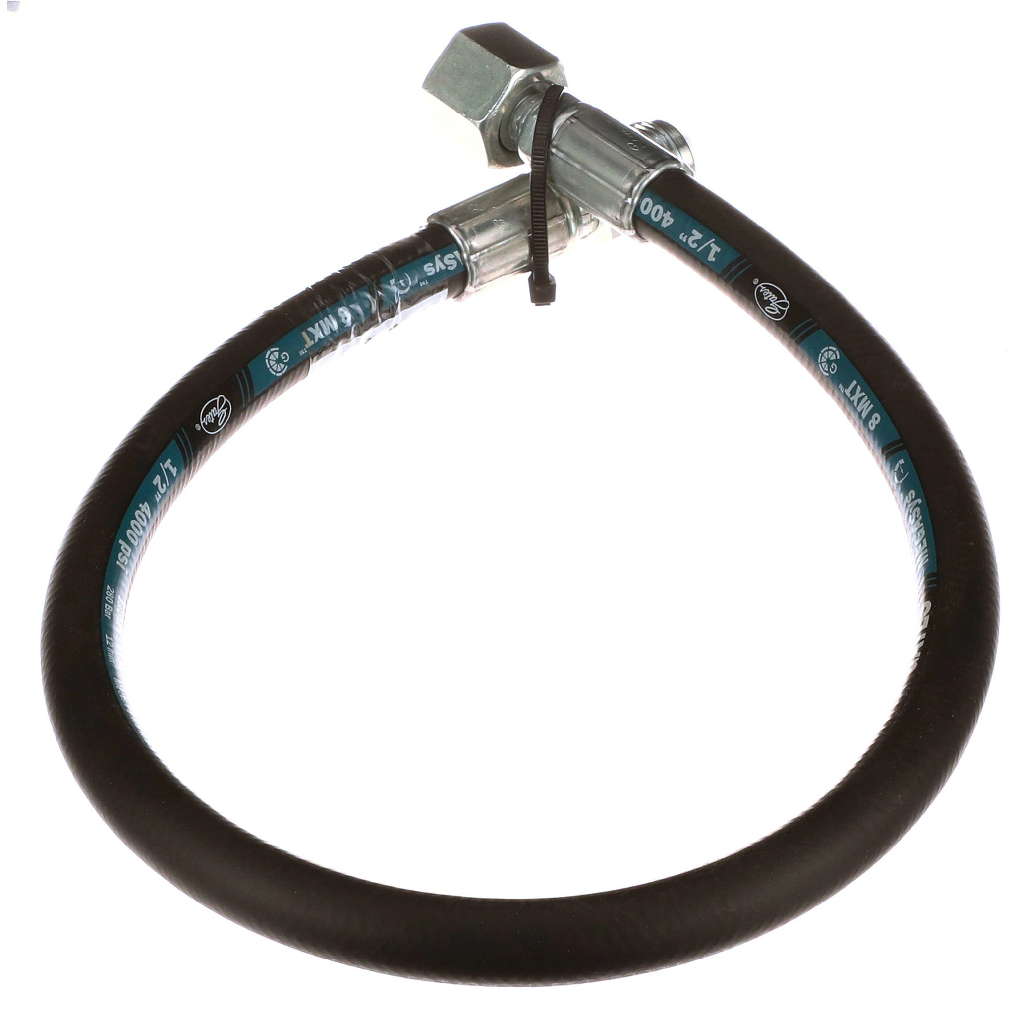 HOSE | CASECE | AMEA | EN