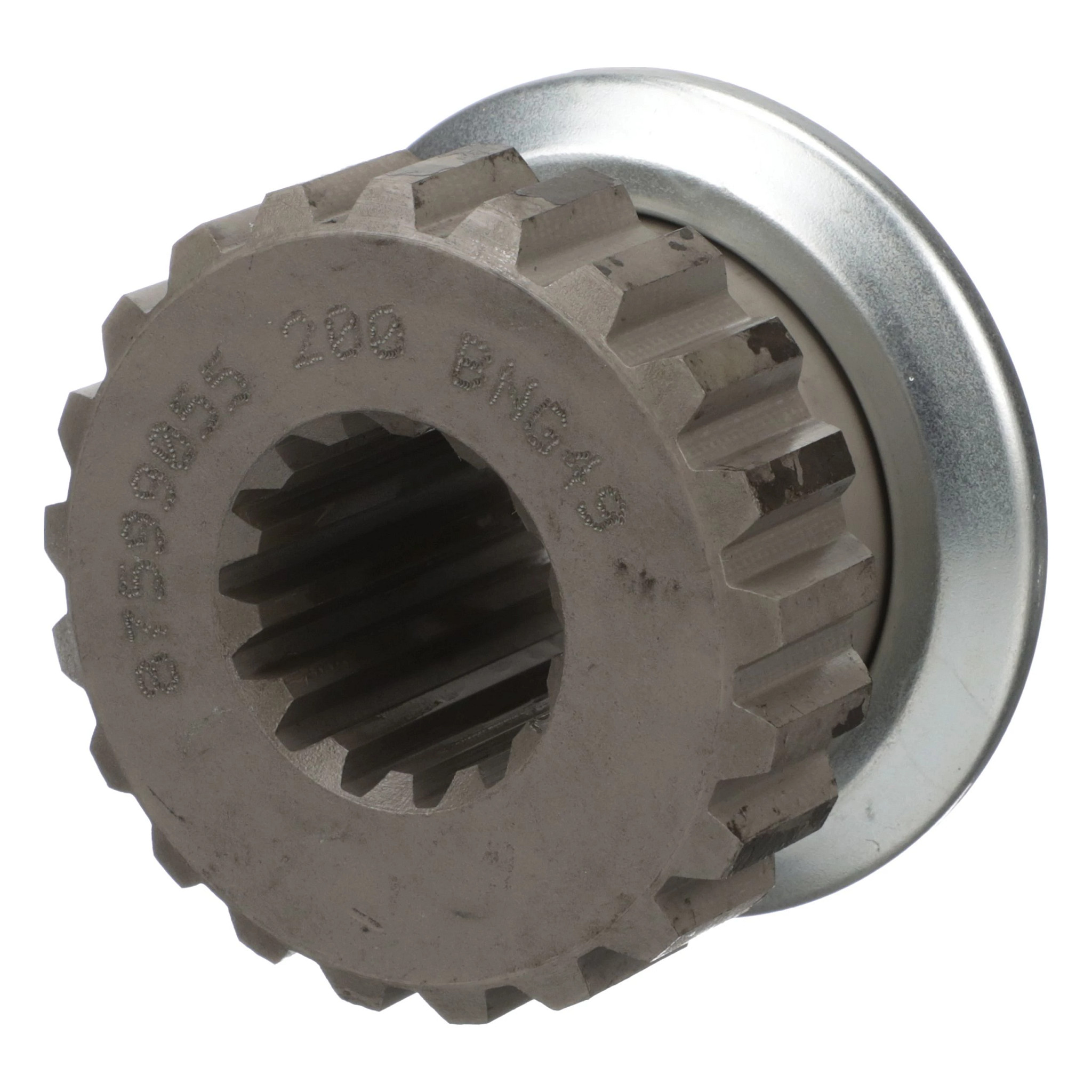 PINHAO TRANSPORTADOR