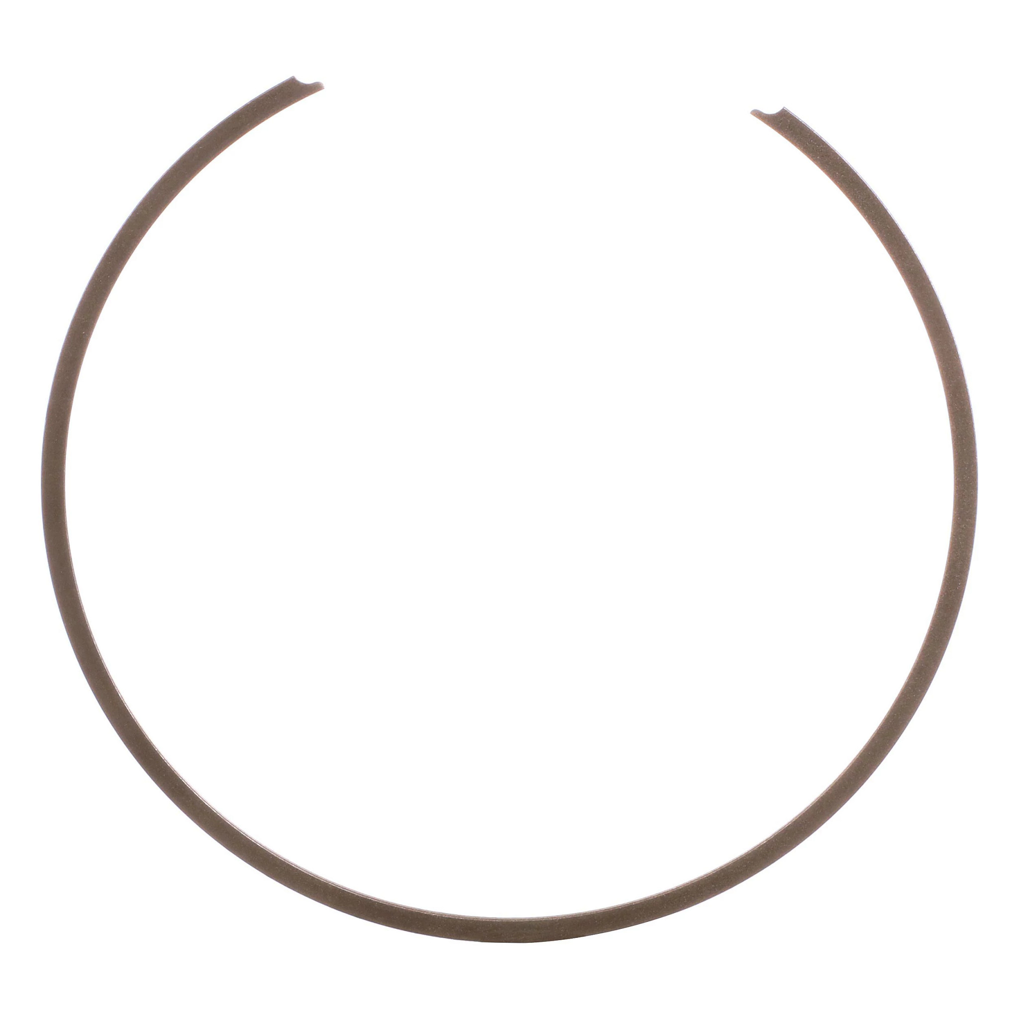 SNAP RING | FLEXICOIL | AMEA | EN