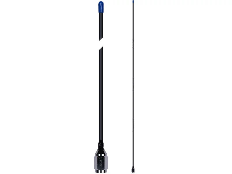 RADIO | CASECE | SA | EN