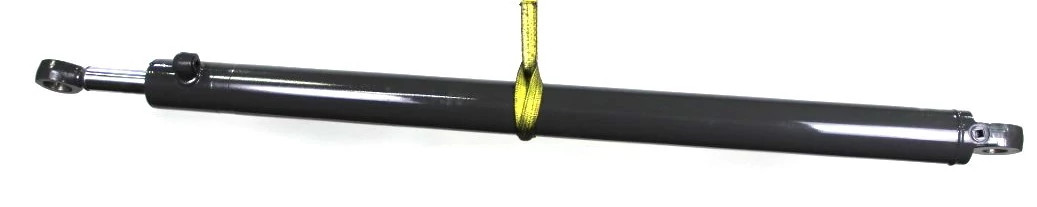 REMAN-HYD CYLINDER | CASEIH | IE | EN