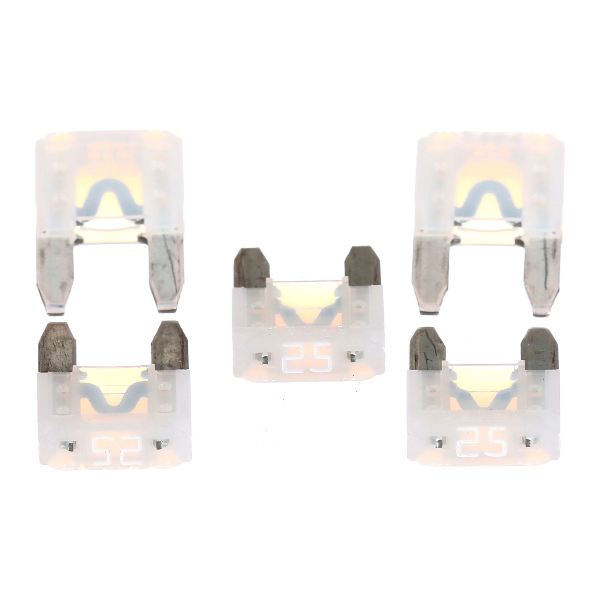 FUSIBLE | CASECE | SA | EN