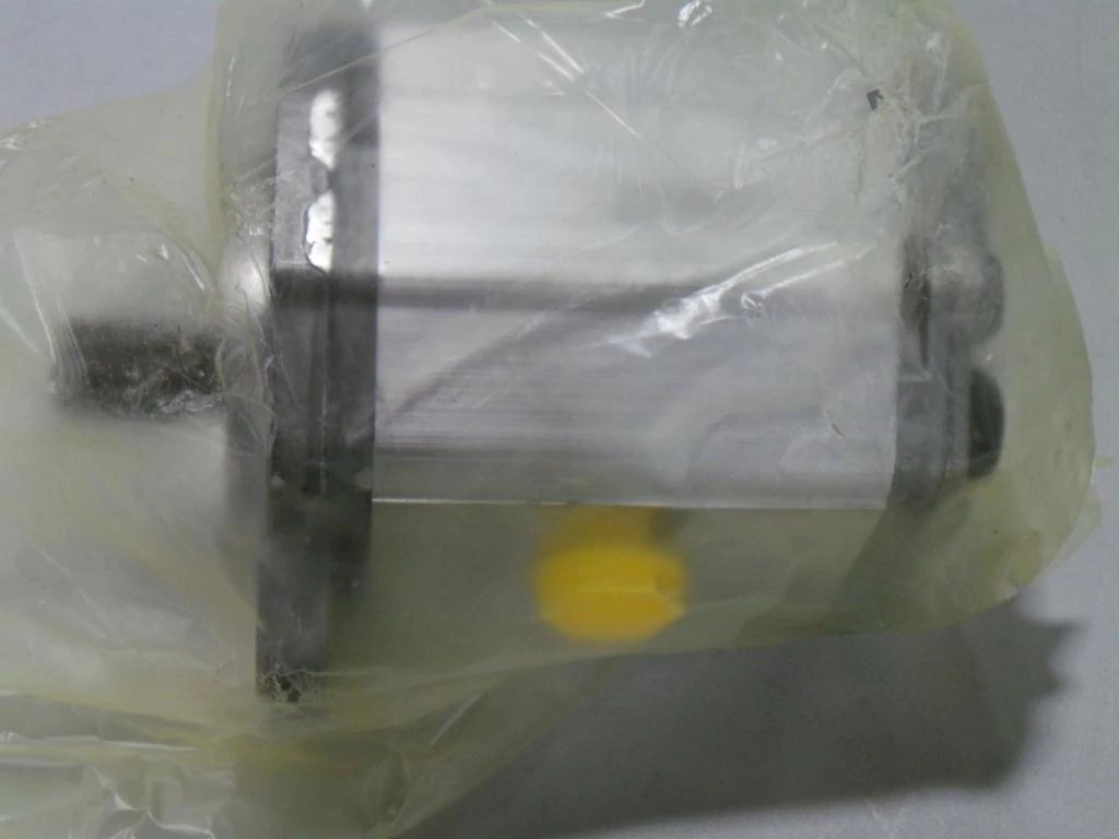 HYDRAULIC PUMP | CASECE | SA | EN