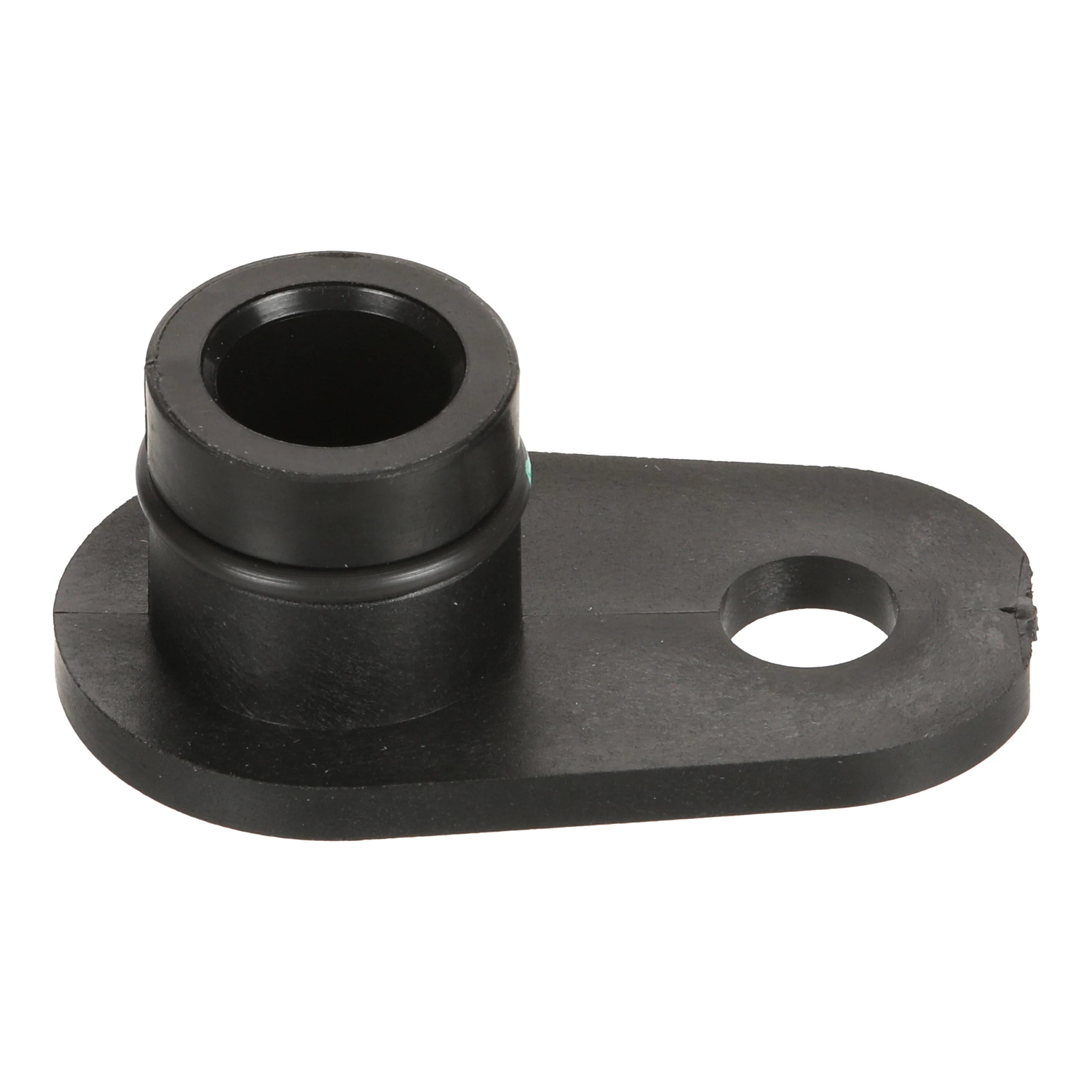 BUJÃO | CASECE | SA | EN