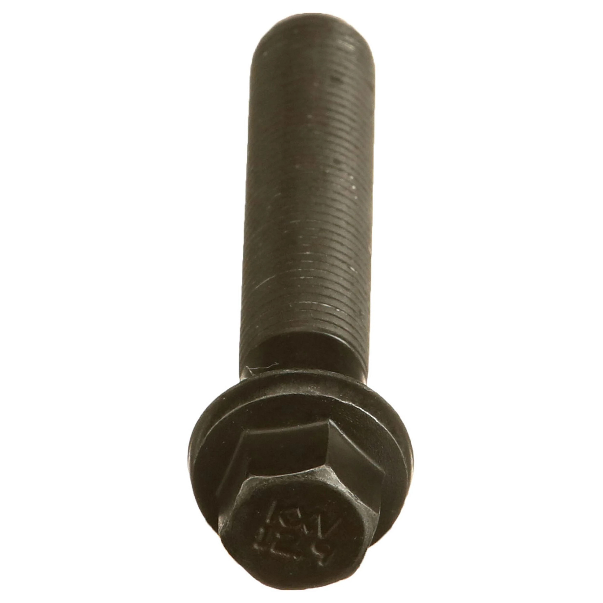 BOLT | CASECE | SA | EN