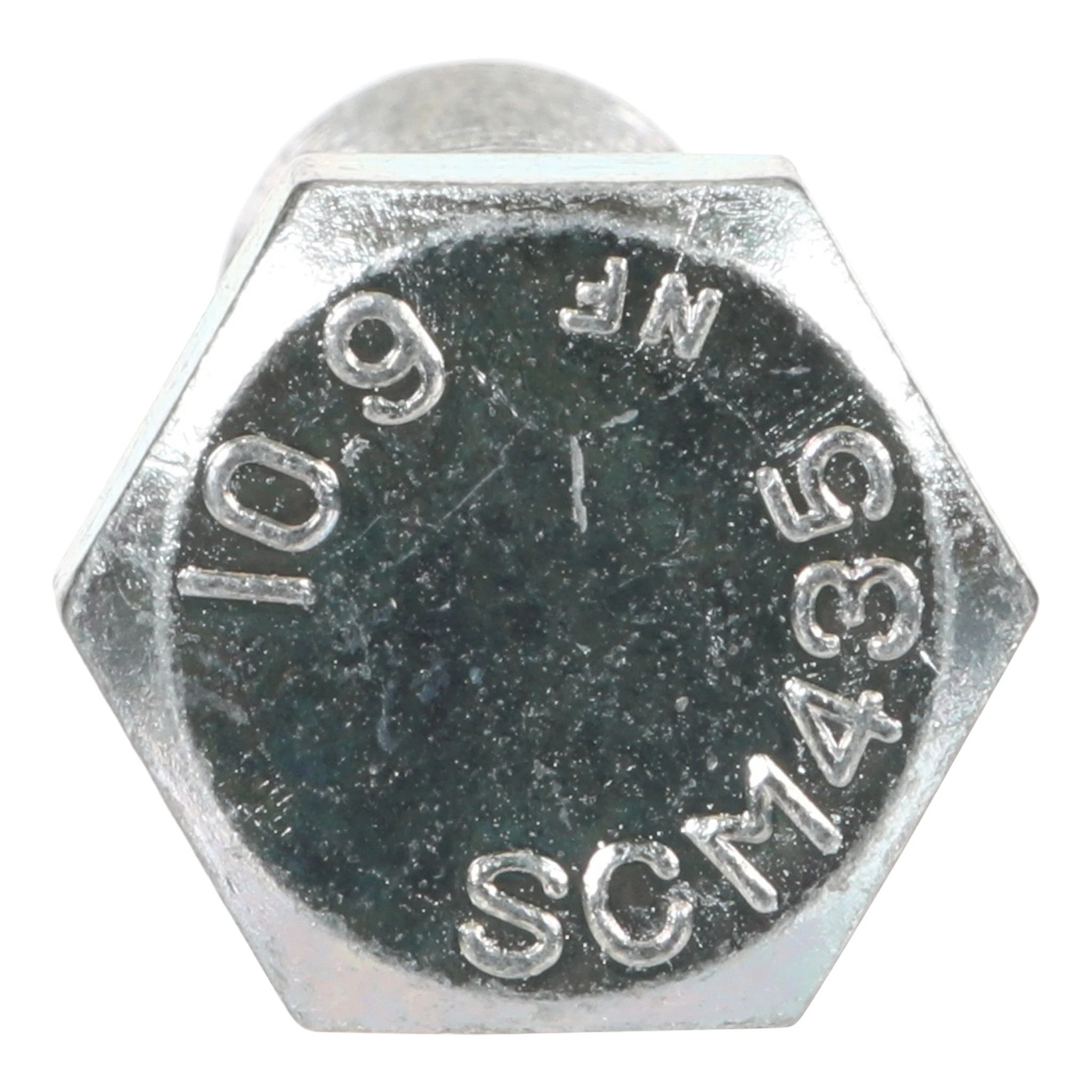 SCREW | CASECE | US | EN