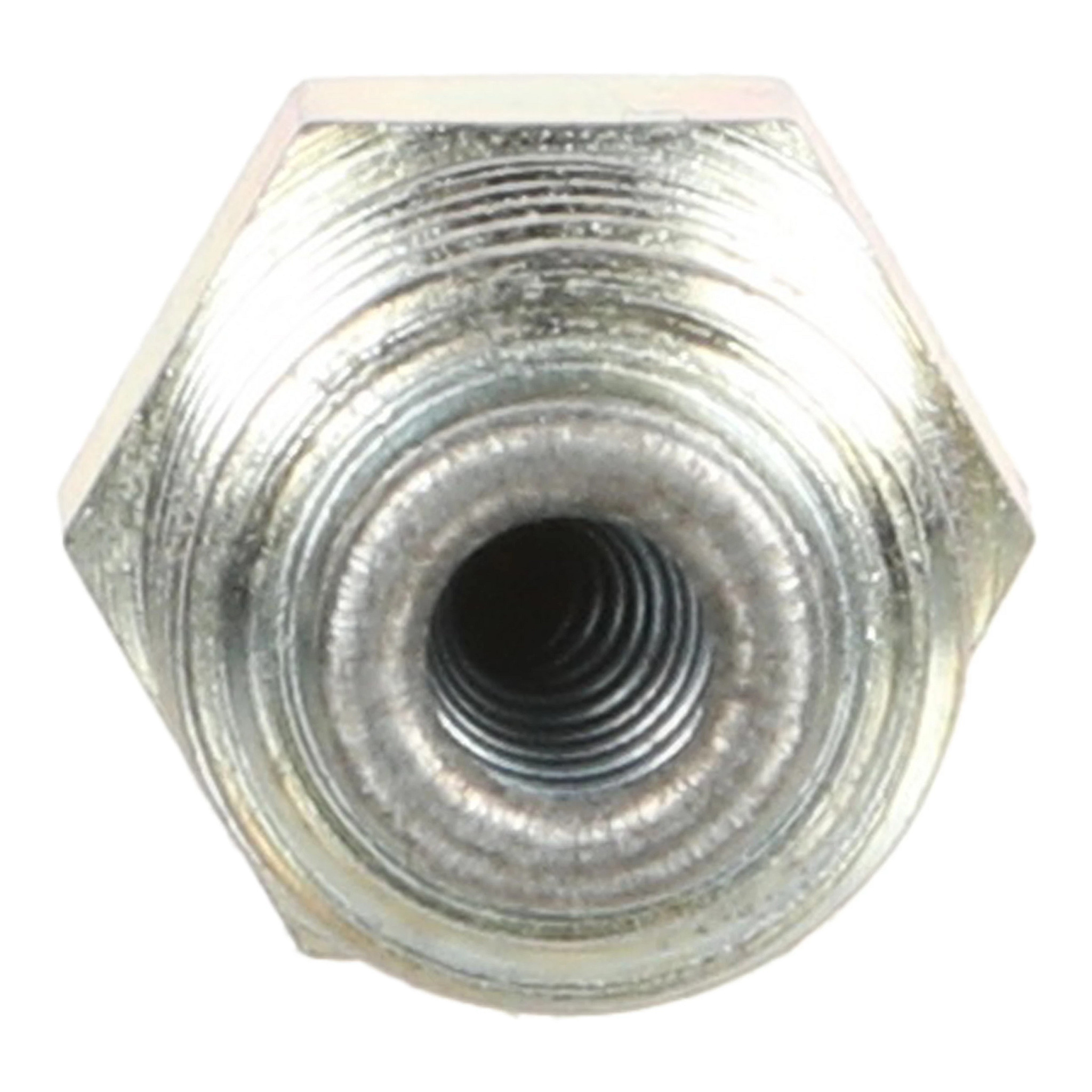 NIPPLO | CASECE | EU | IT