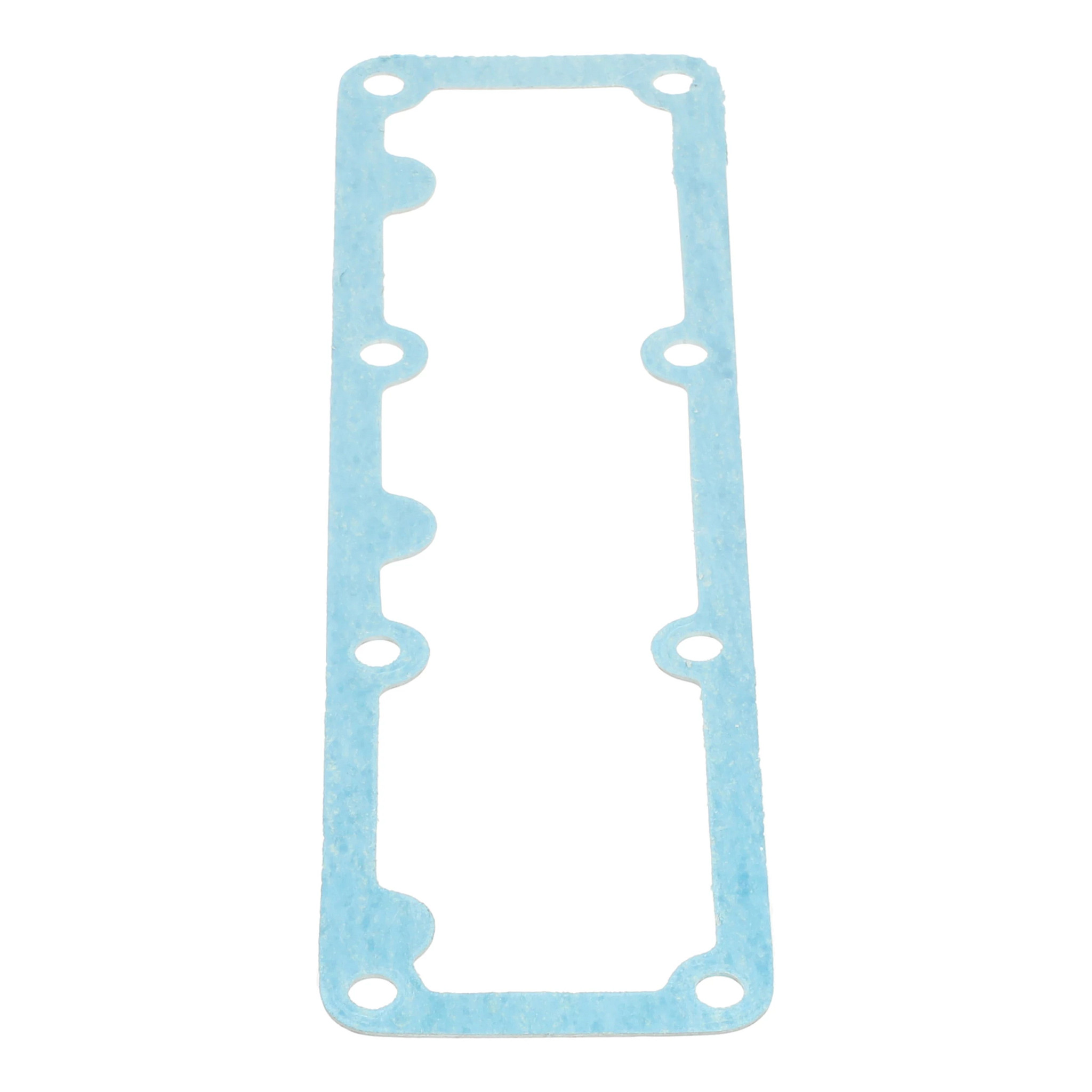 GUARNIZIONE | CASEIH | EU | IT