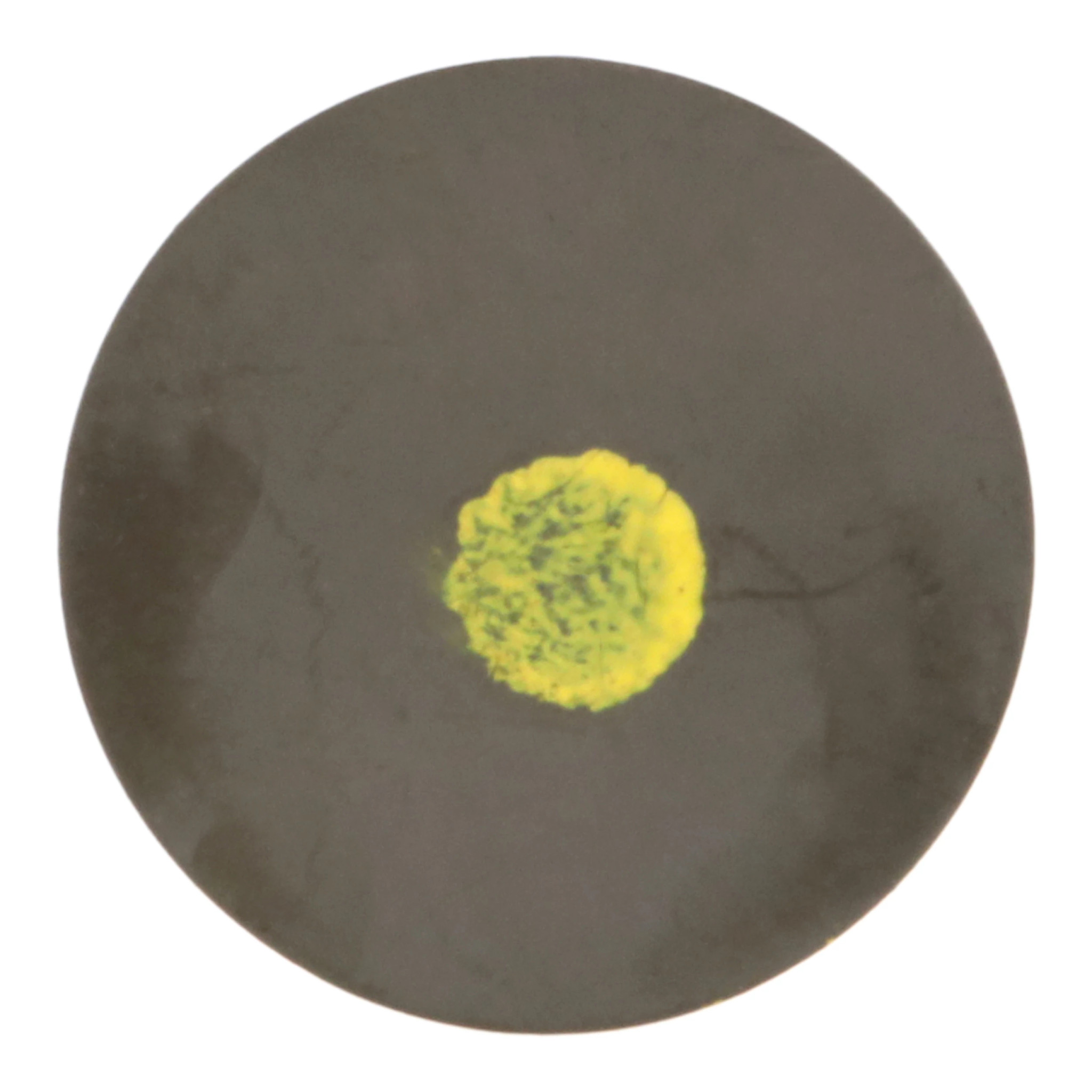 CAP | NEWHOLLANDAG | IE | EN