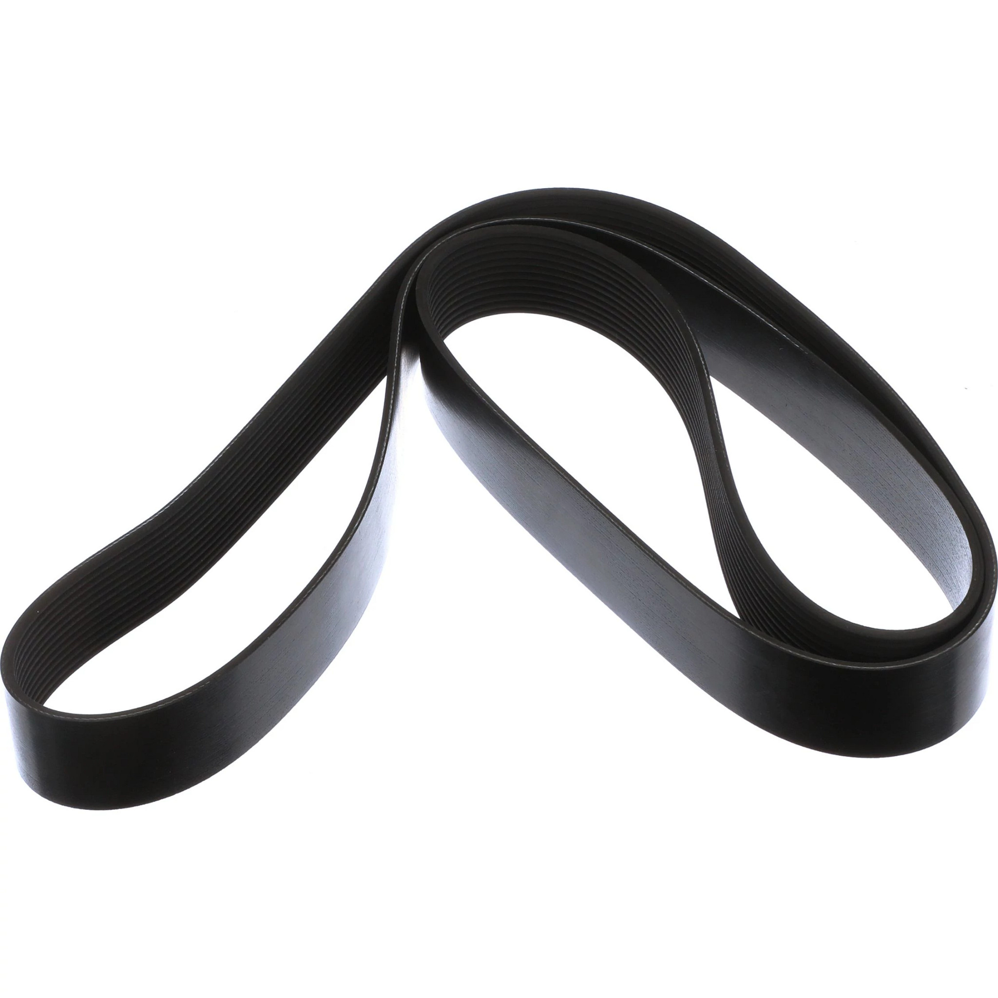 COURROIE | CASECE | CA | FR