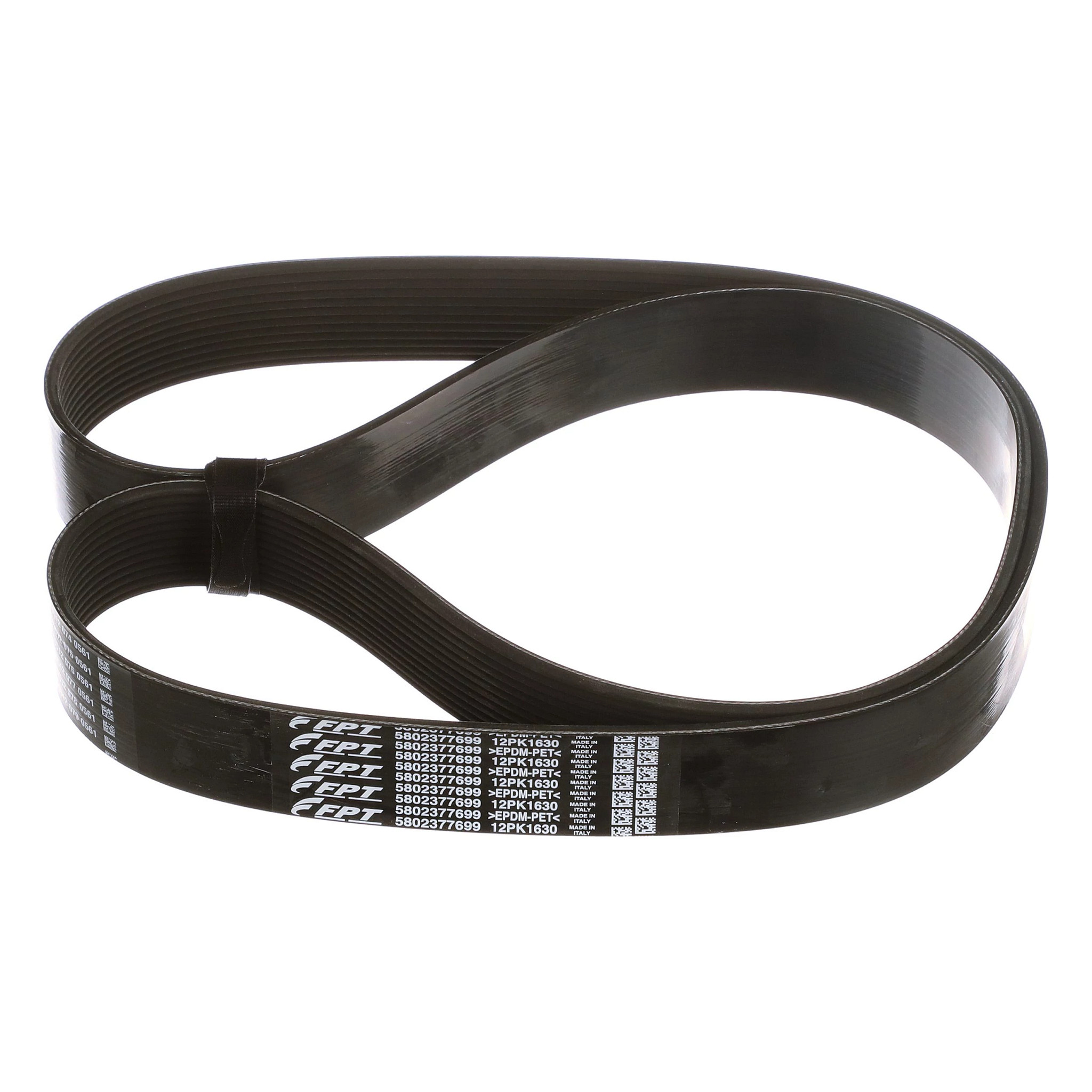 Correia do alternador