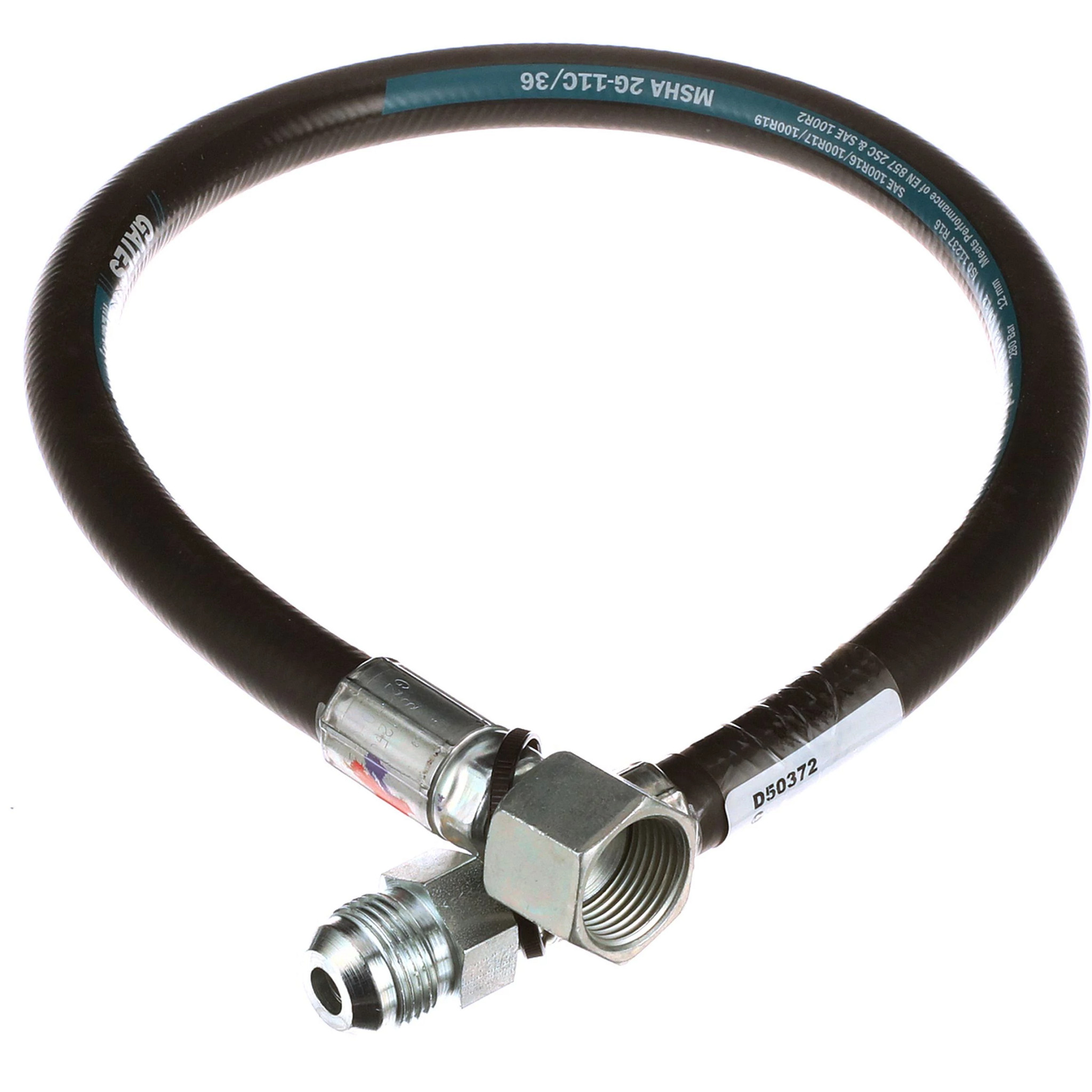 HOSE | CASECE | AMEA | EN