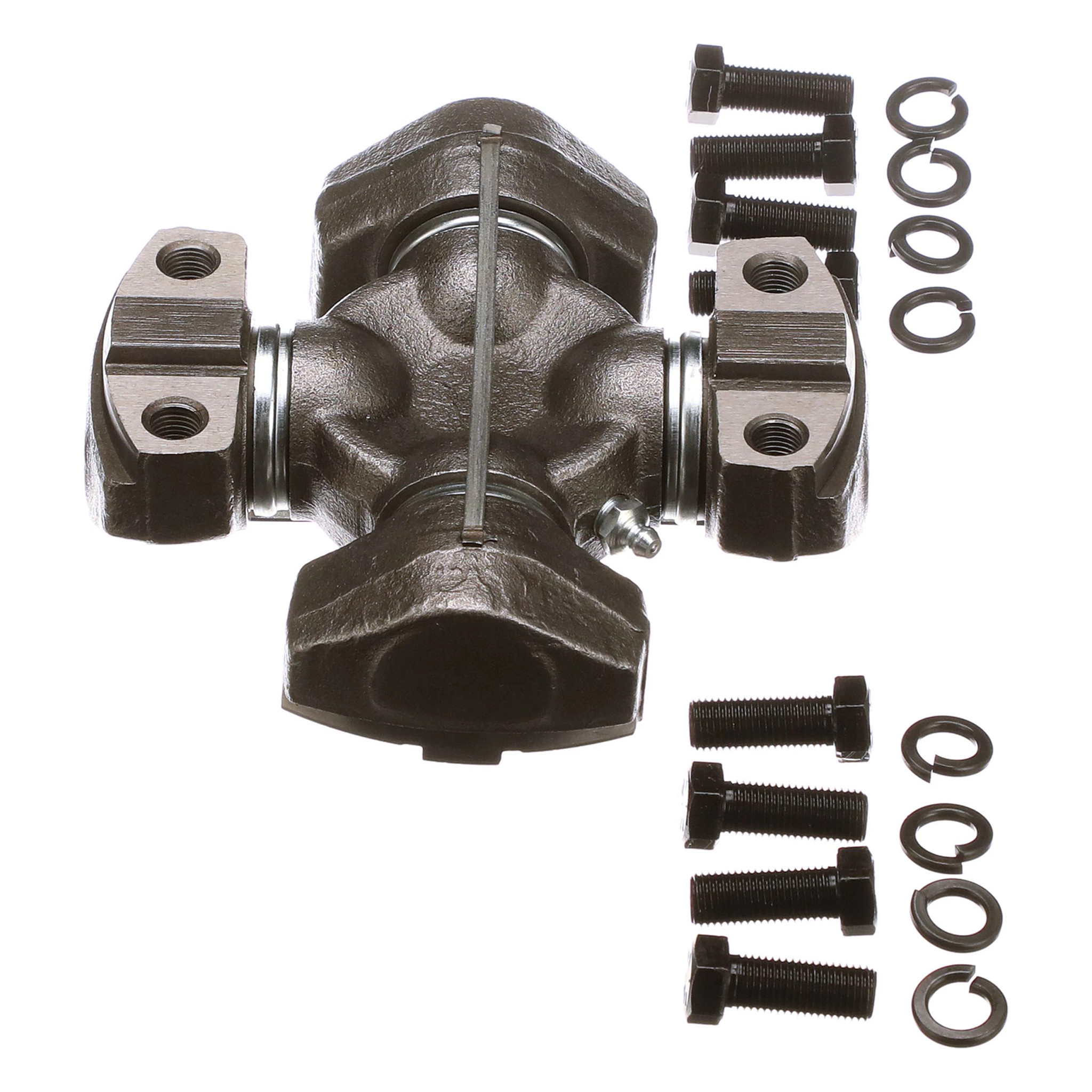 SPIDER | CASECE | SA | EN