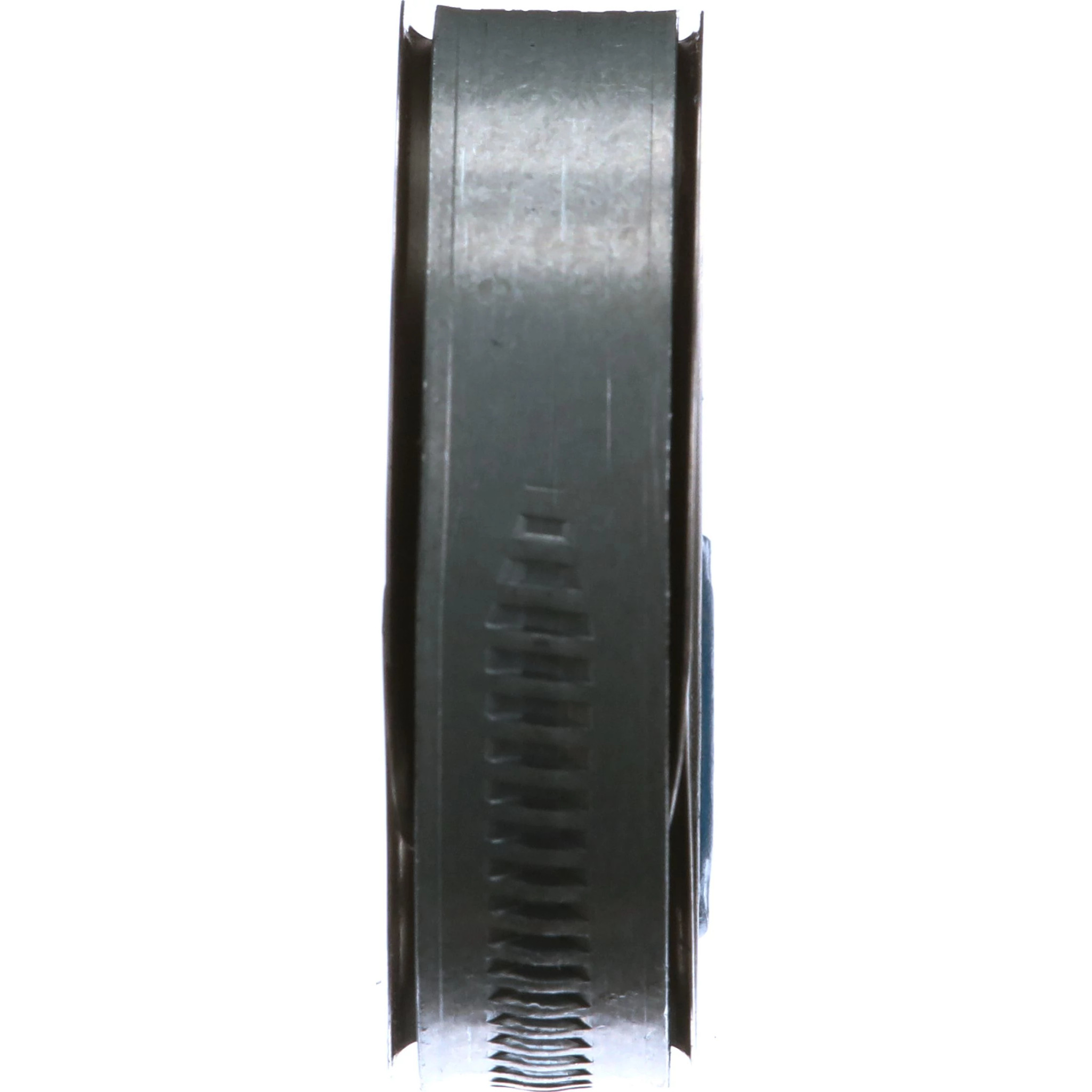 CLIP | CASECE | ANZ | EN