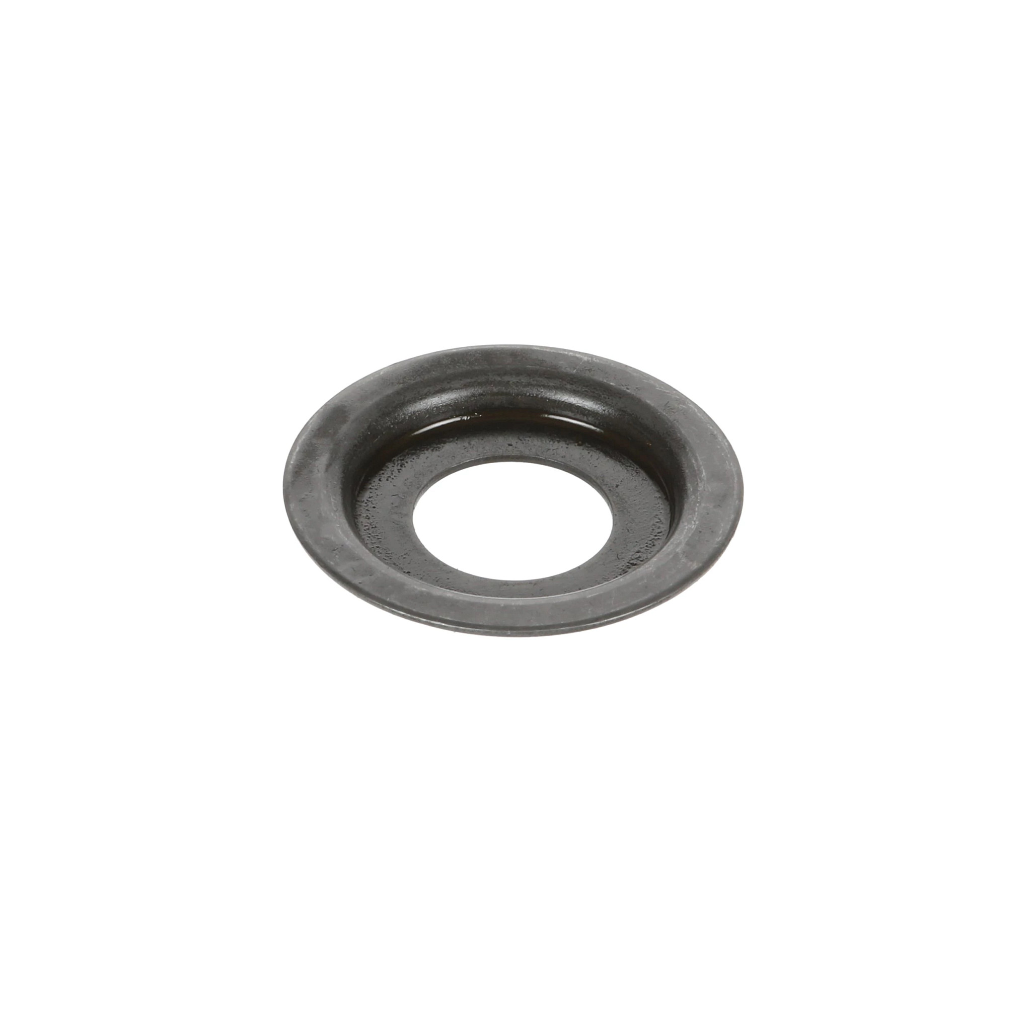 Arruela Plana | CASECE | BR | PT