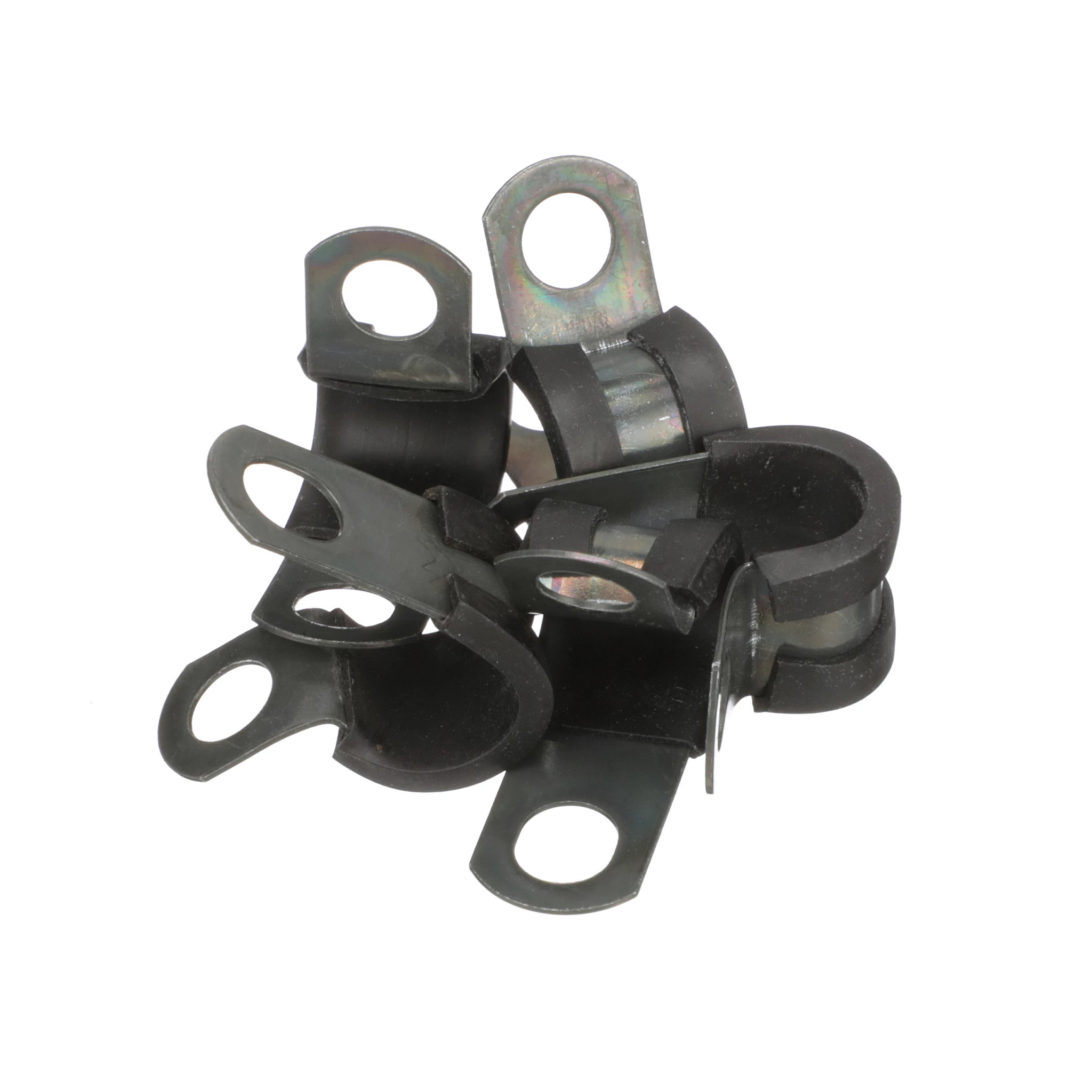 Fixador | CASECE | BR | PT