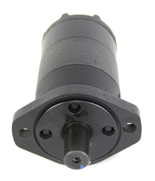 Reman Hydraulic Motor | CASEIH | US | EN