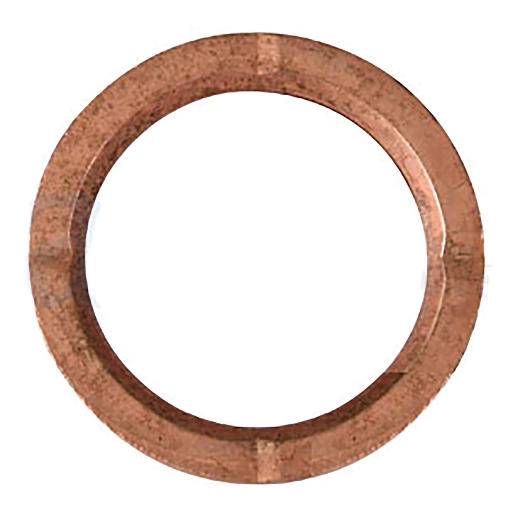 Thrust Washer | CASECE | CA | EN