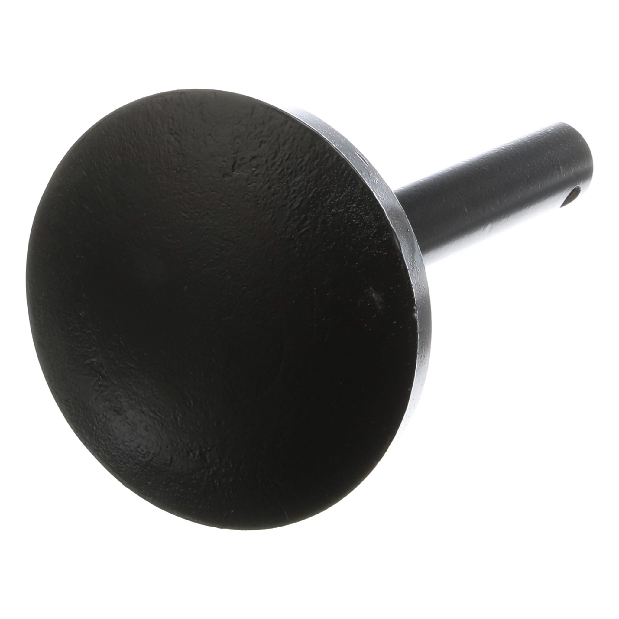 Skid Shoe | CASEIH | US | EN