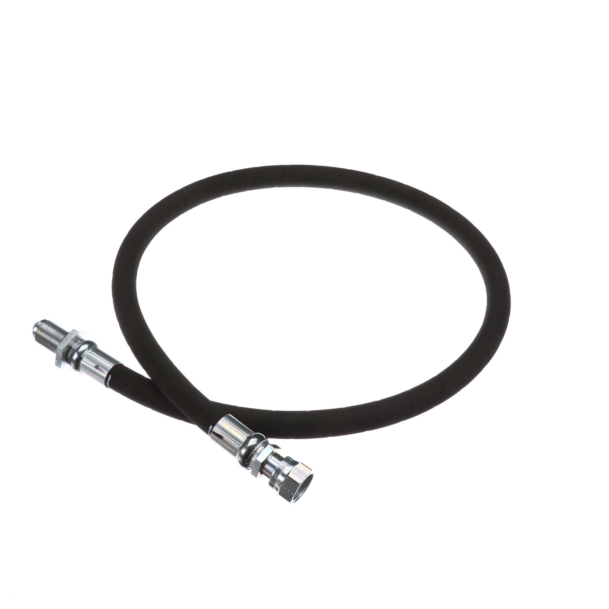 Mangueira | CASECE | BR | PT