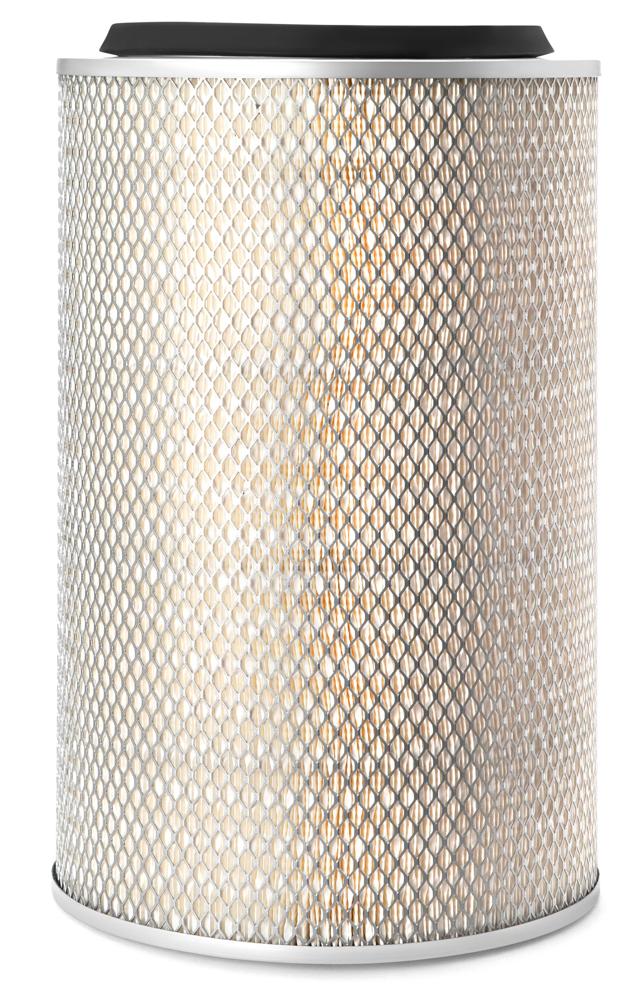 Filtre à air primaire Fleetguard® | CASEIH | CA | FR