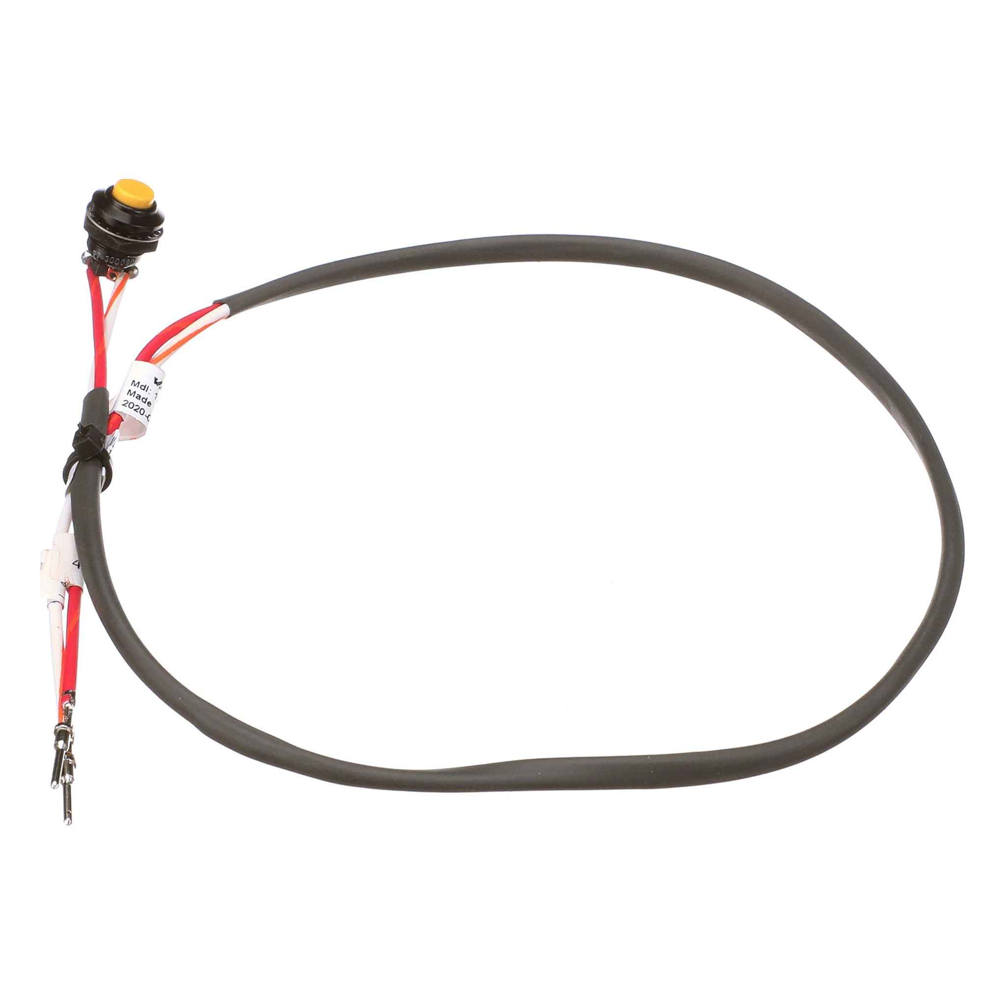 SWITCH | CASECE | US | EN