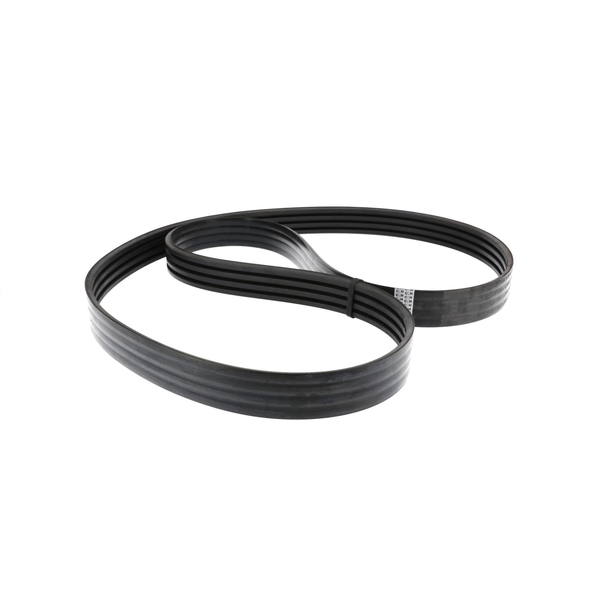 BELT | CASECE | AMEA | EN