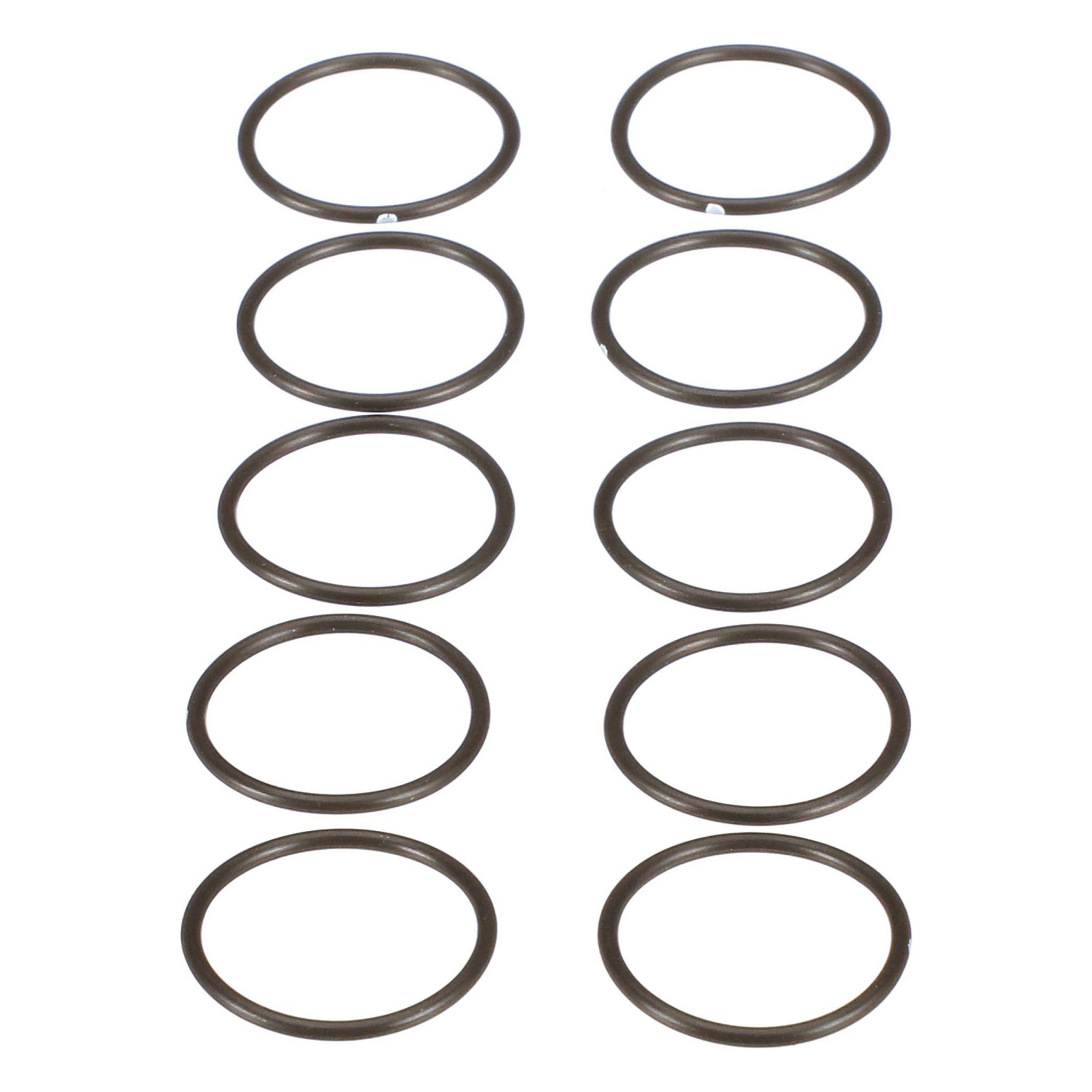 ANELLO TOROIDALE | CASECE | EU | EN