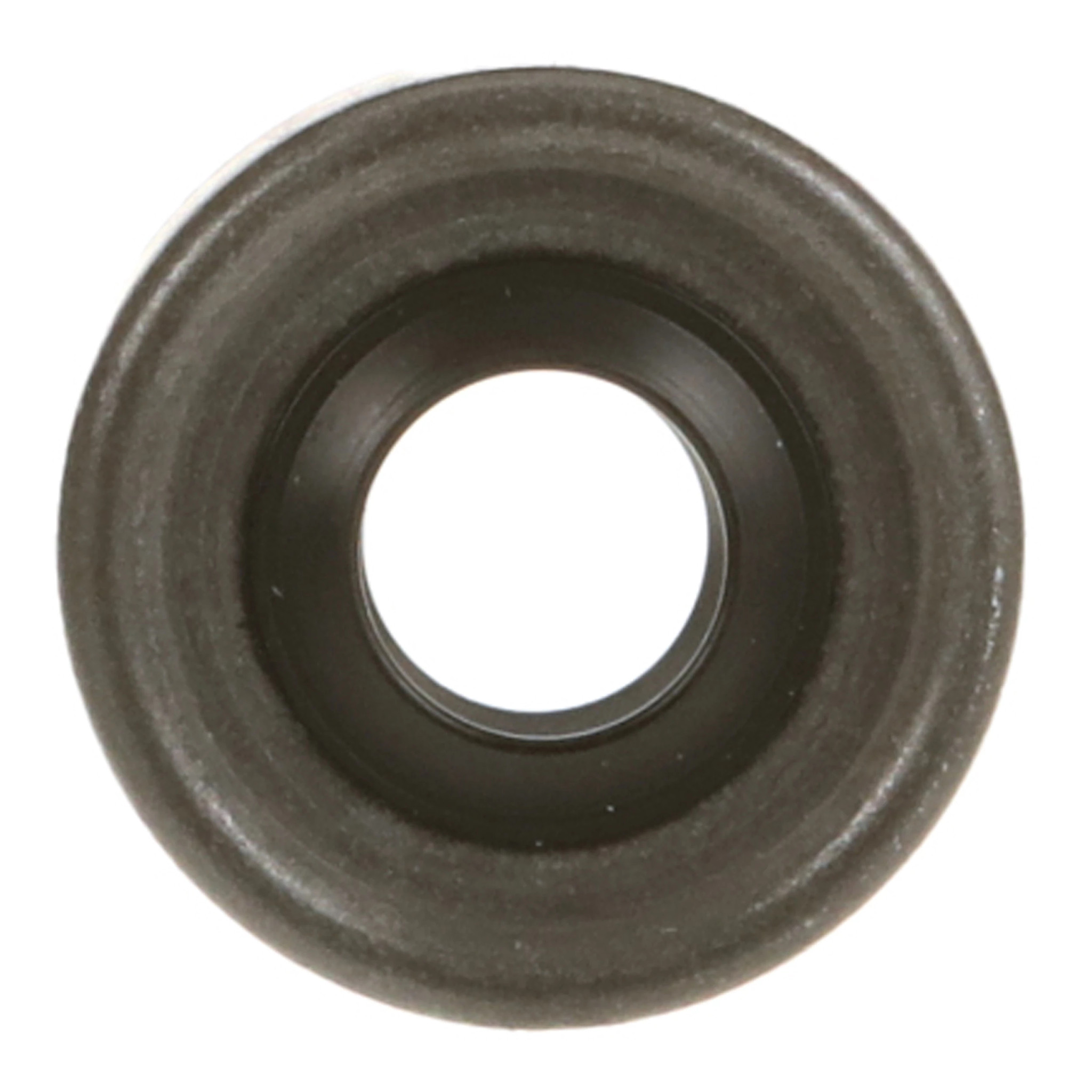 SEAL | CASECE | EU | EN