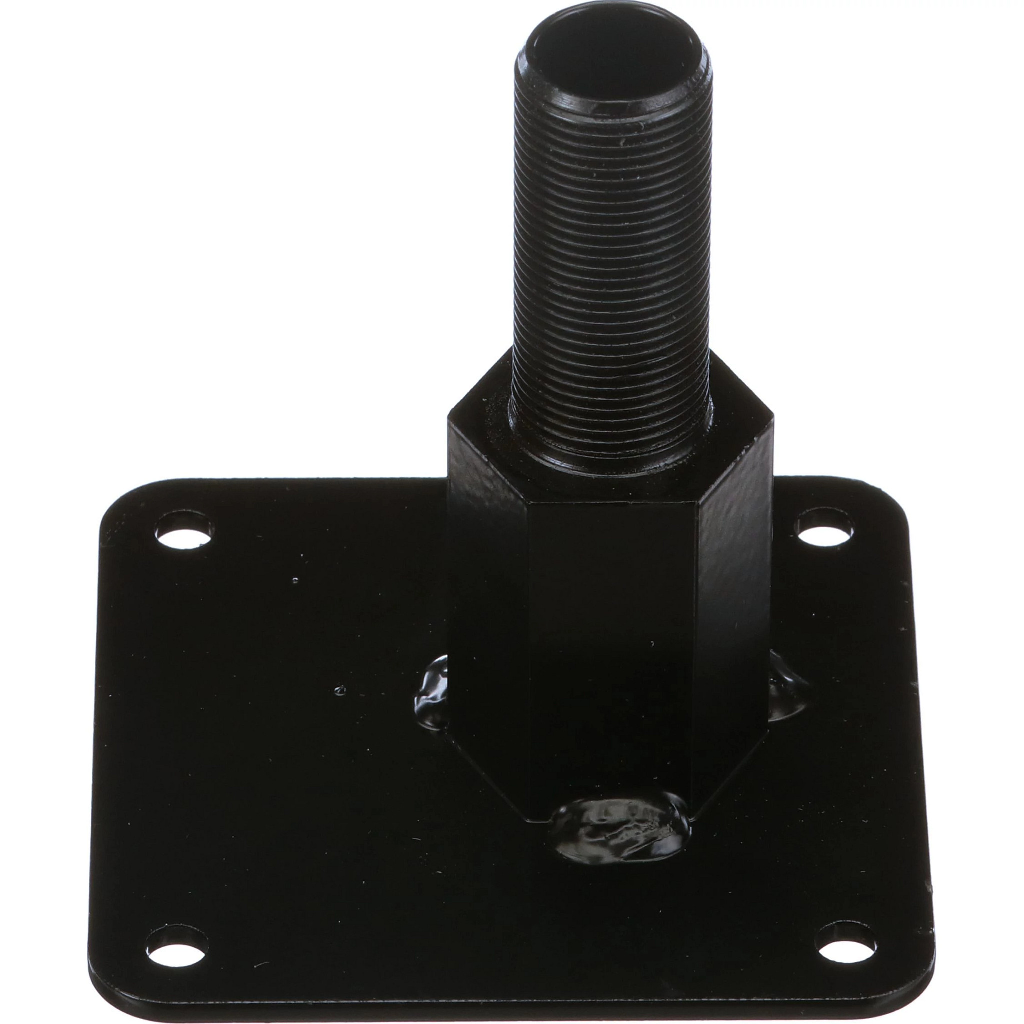 HOLDER | CASECE | EU | EN