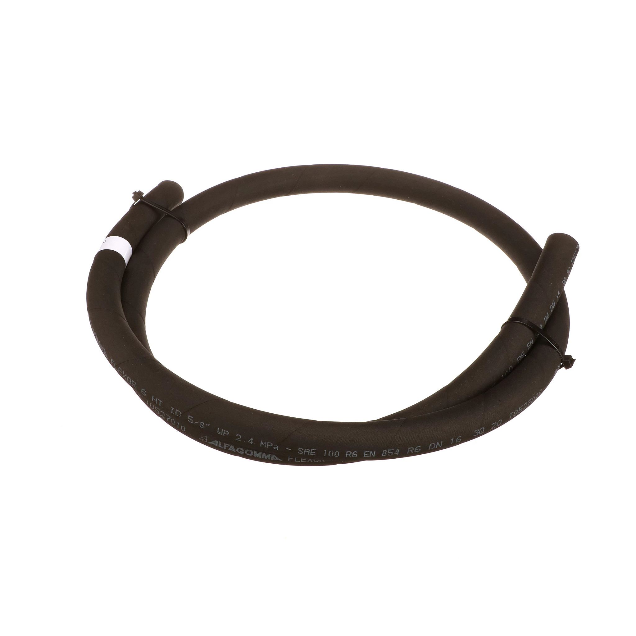 MANGUEIRA | CASECE | BR | PT