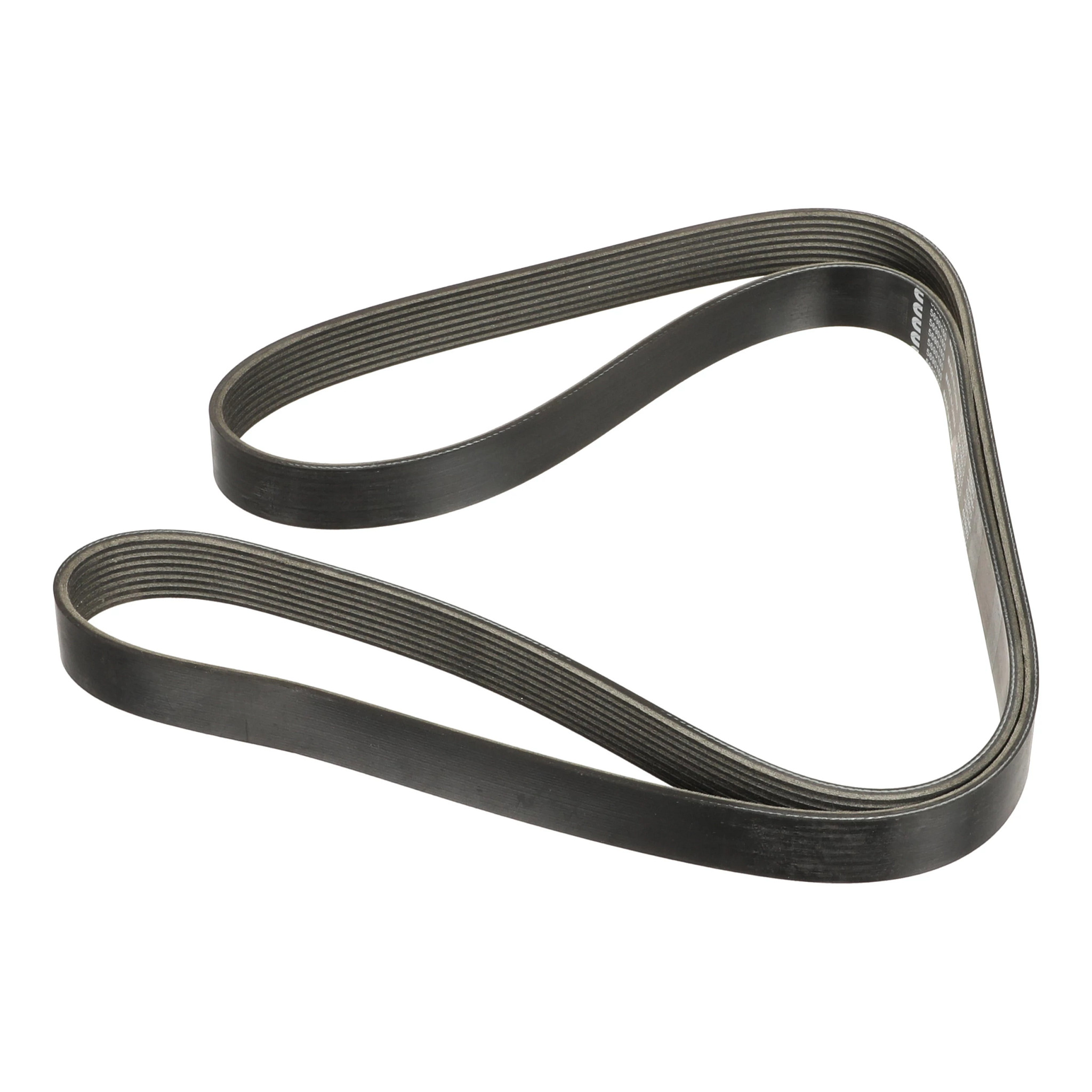 COURROIE | CASECE | CA | FR