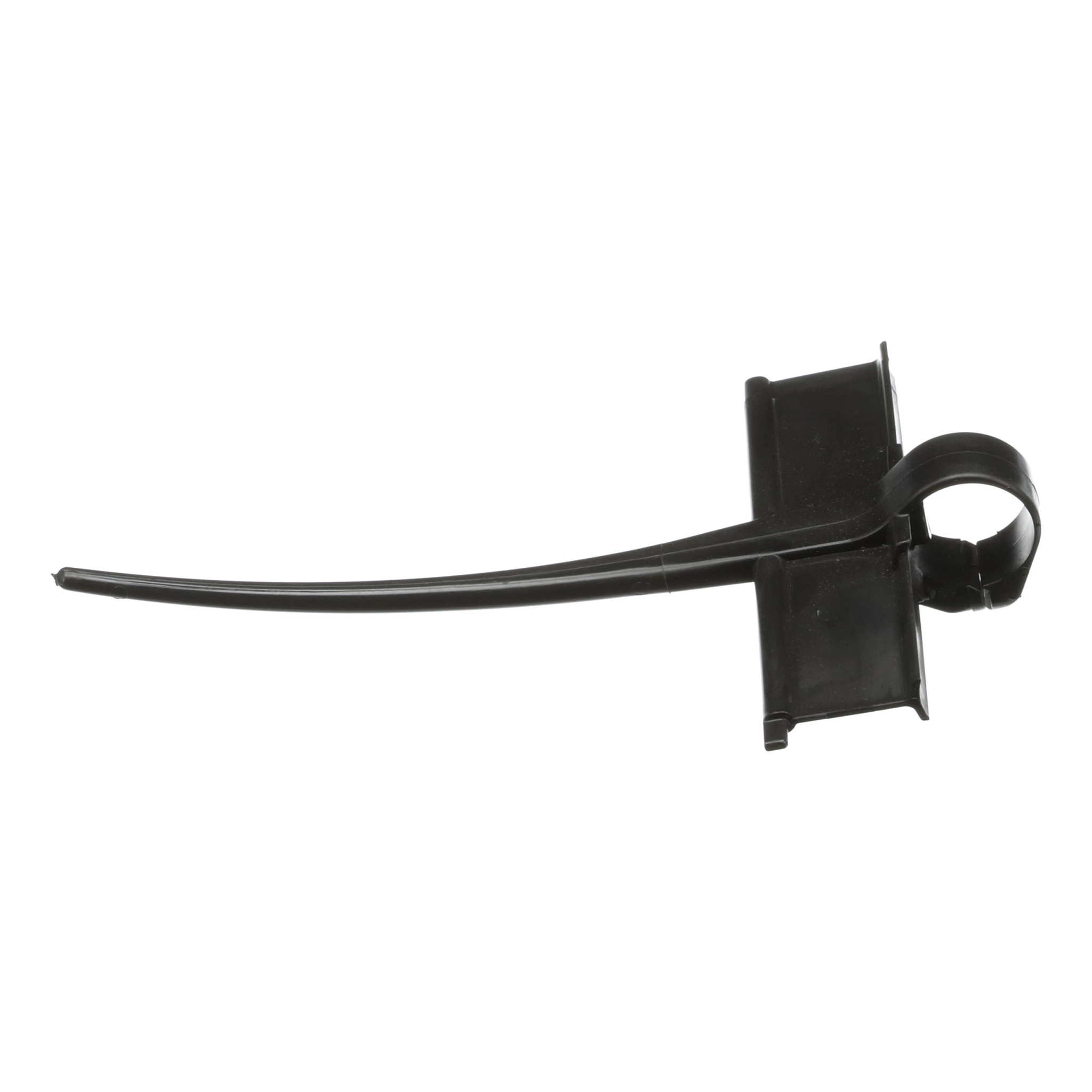 DENT | CASEIH | AMEA | EN