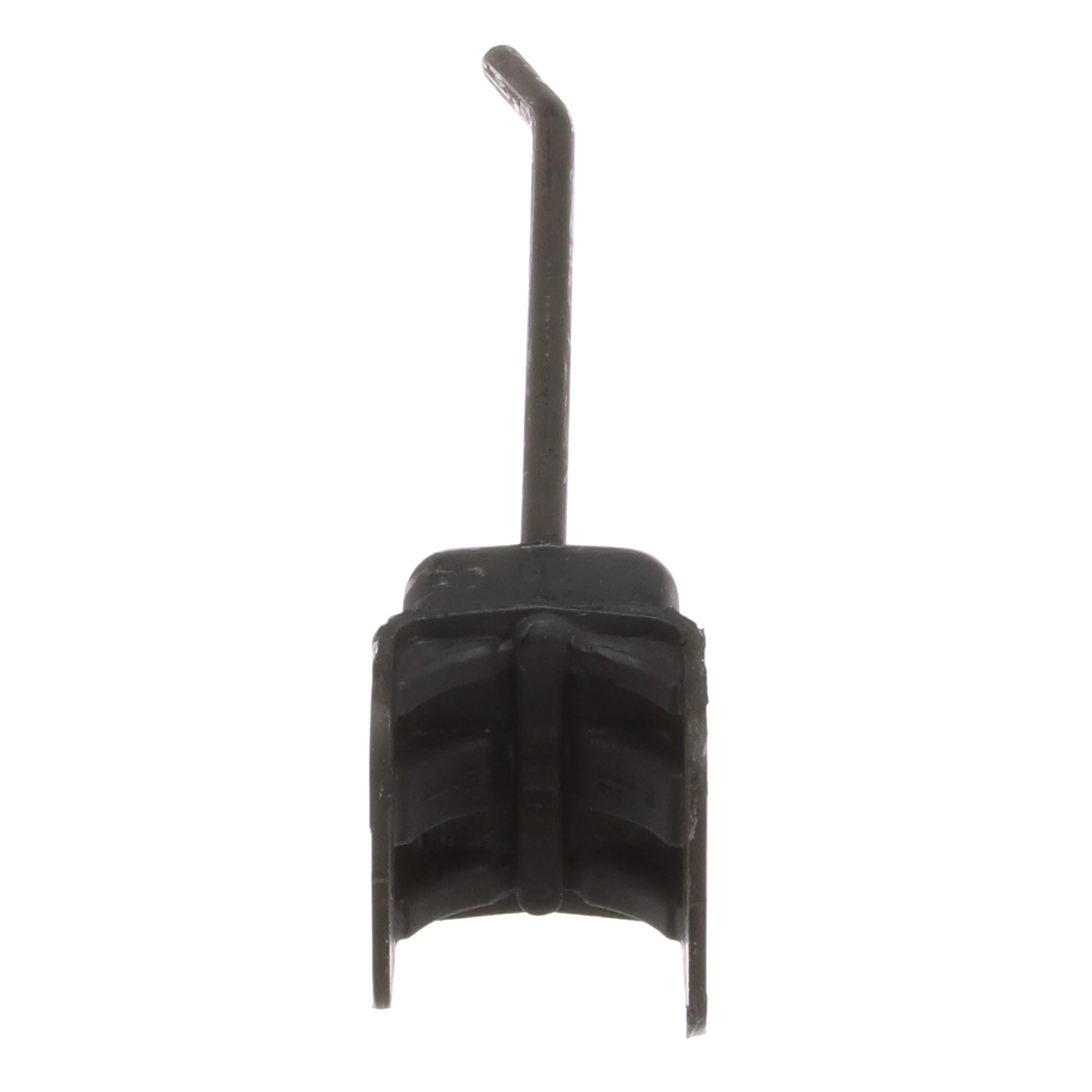 DENTE | CASECE | EU | PT